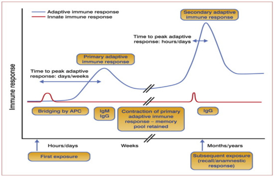 Vaccines 09 01185 g003