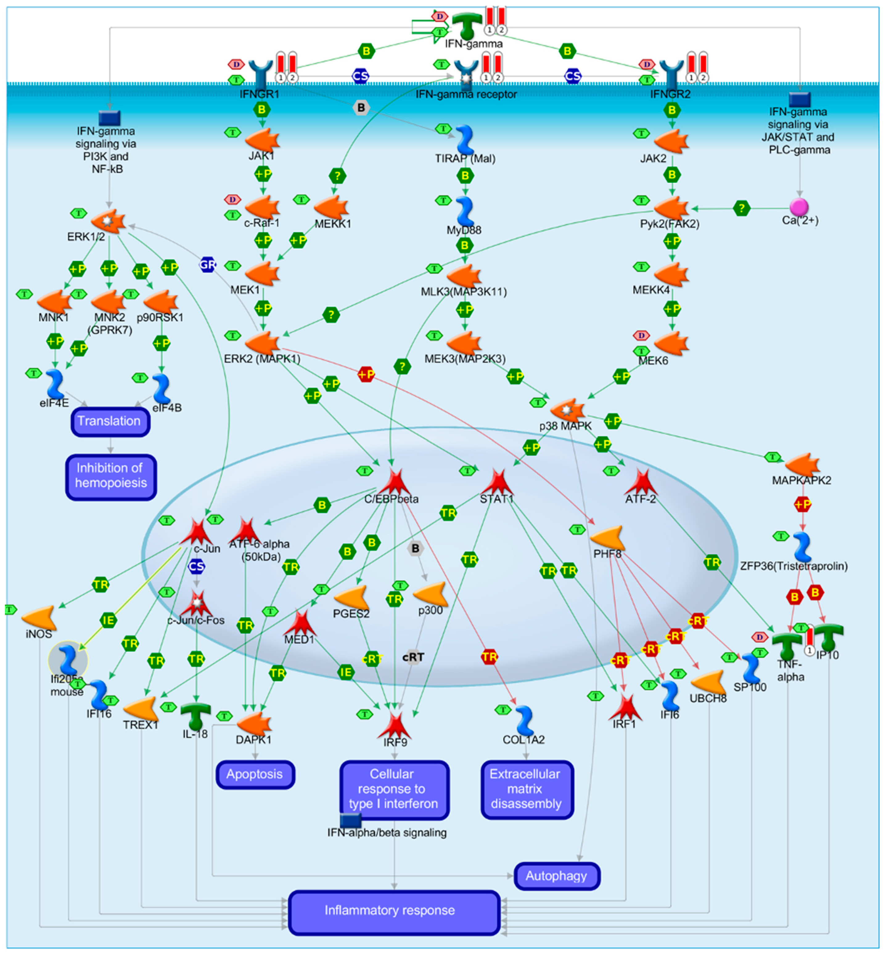 Vaccines 09 01186 g005