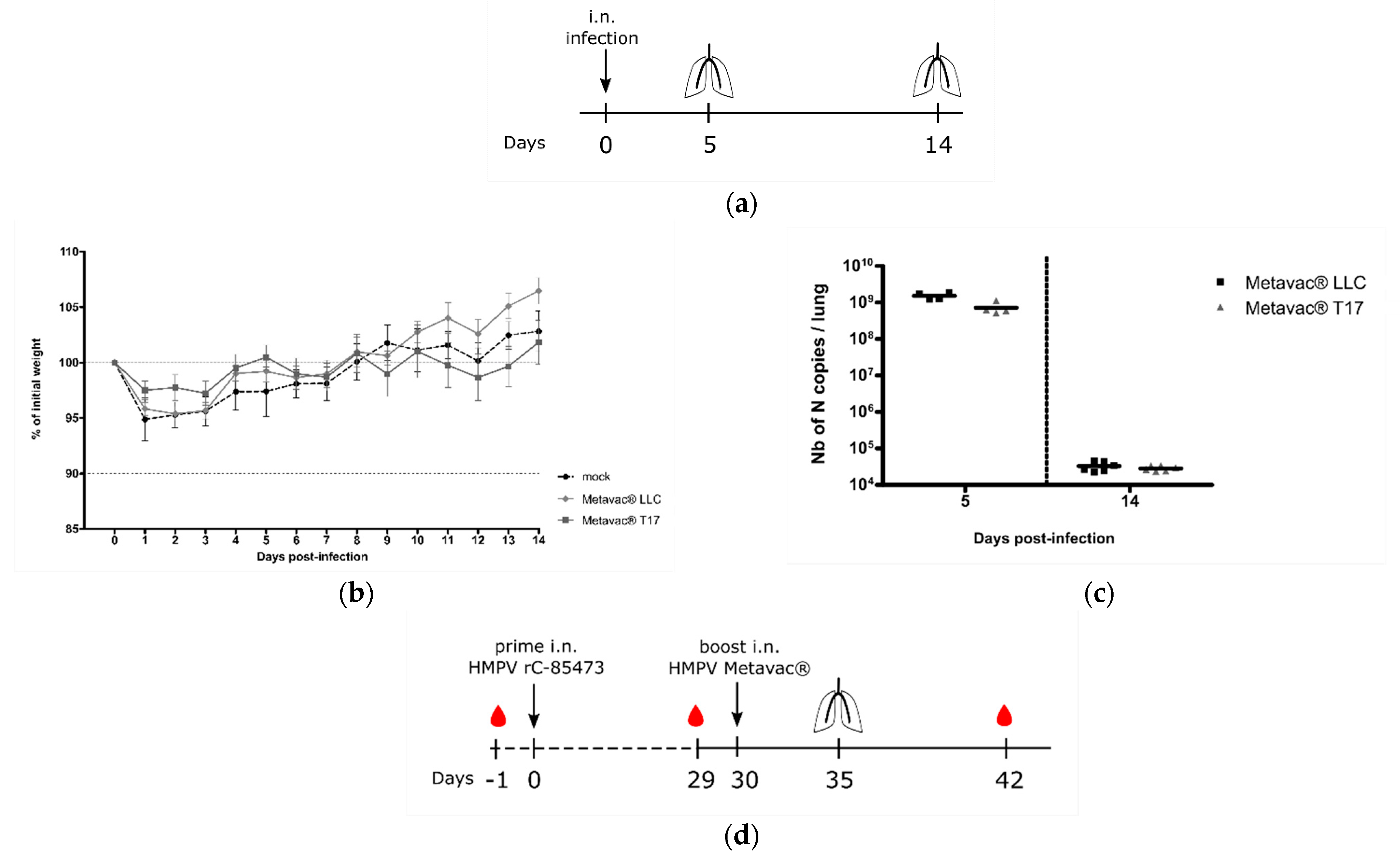 Vaccines 09 01190 g006a