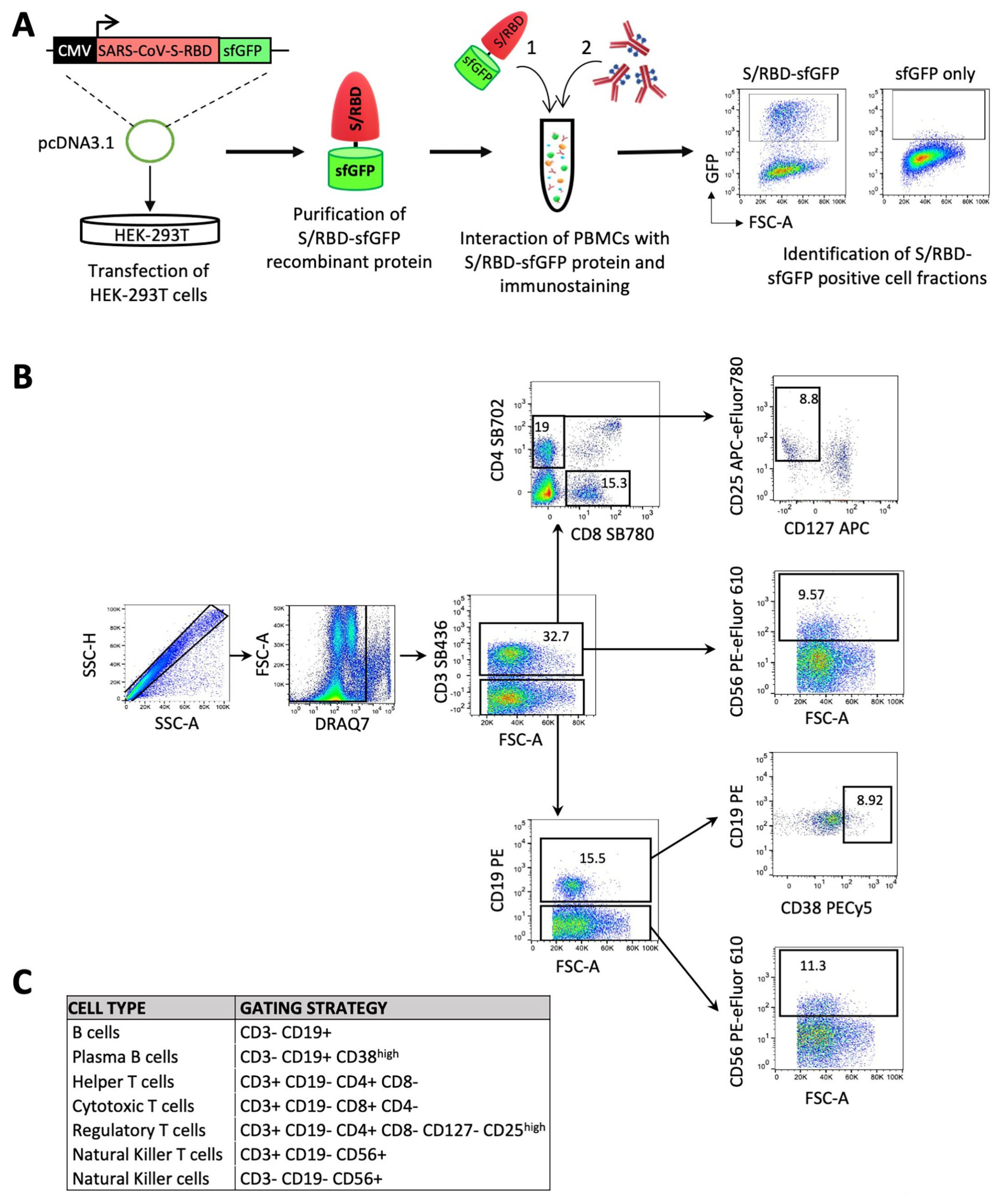 Vaccines 09 01207 g001