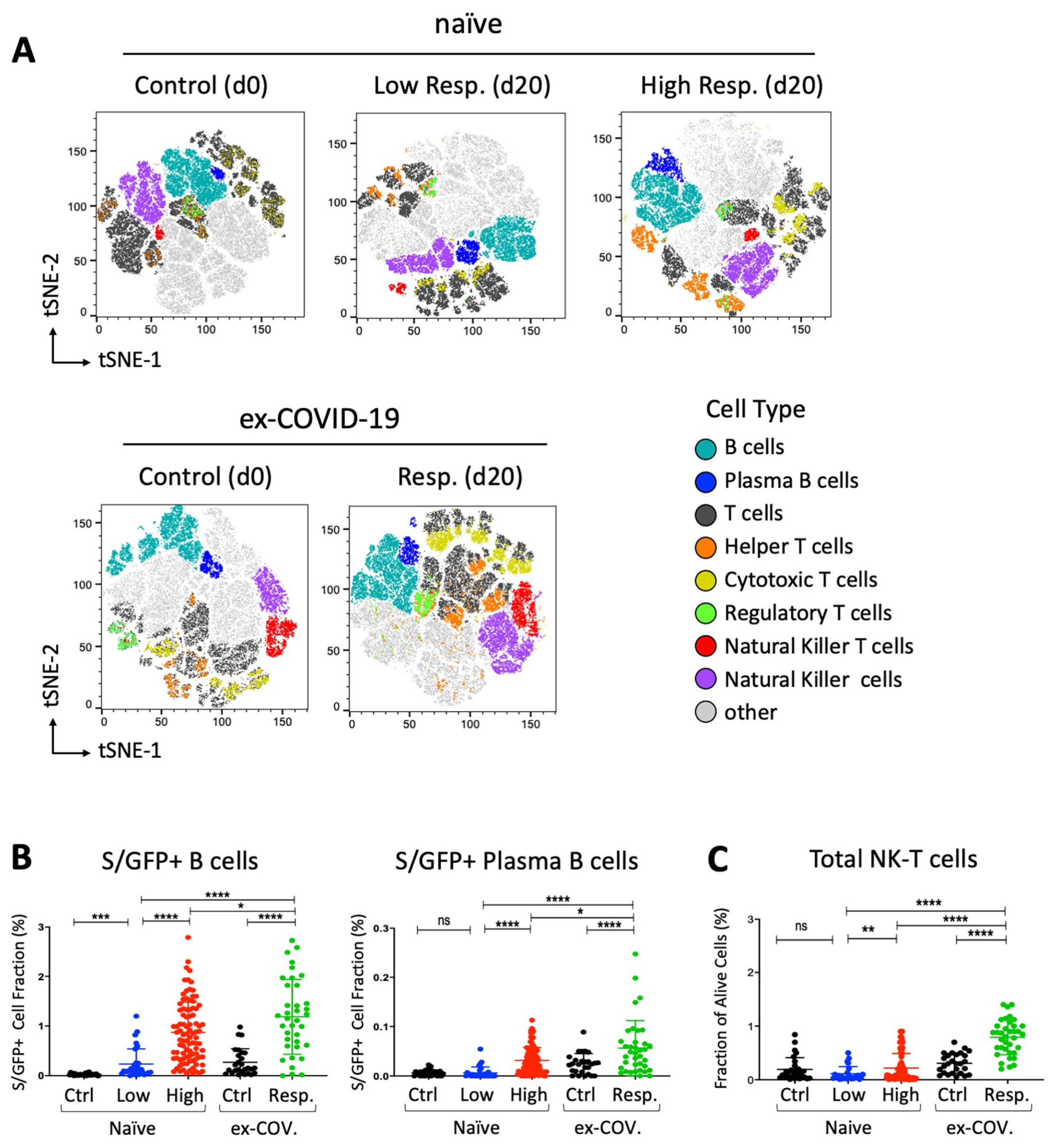 Vaccines 09 01207 g002