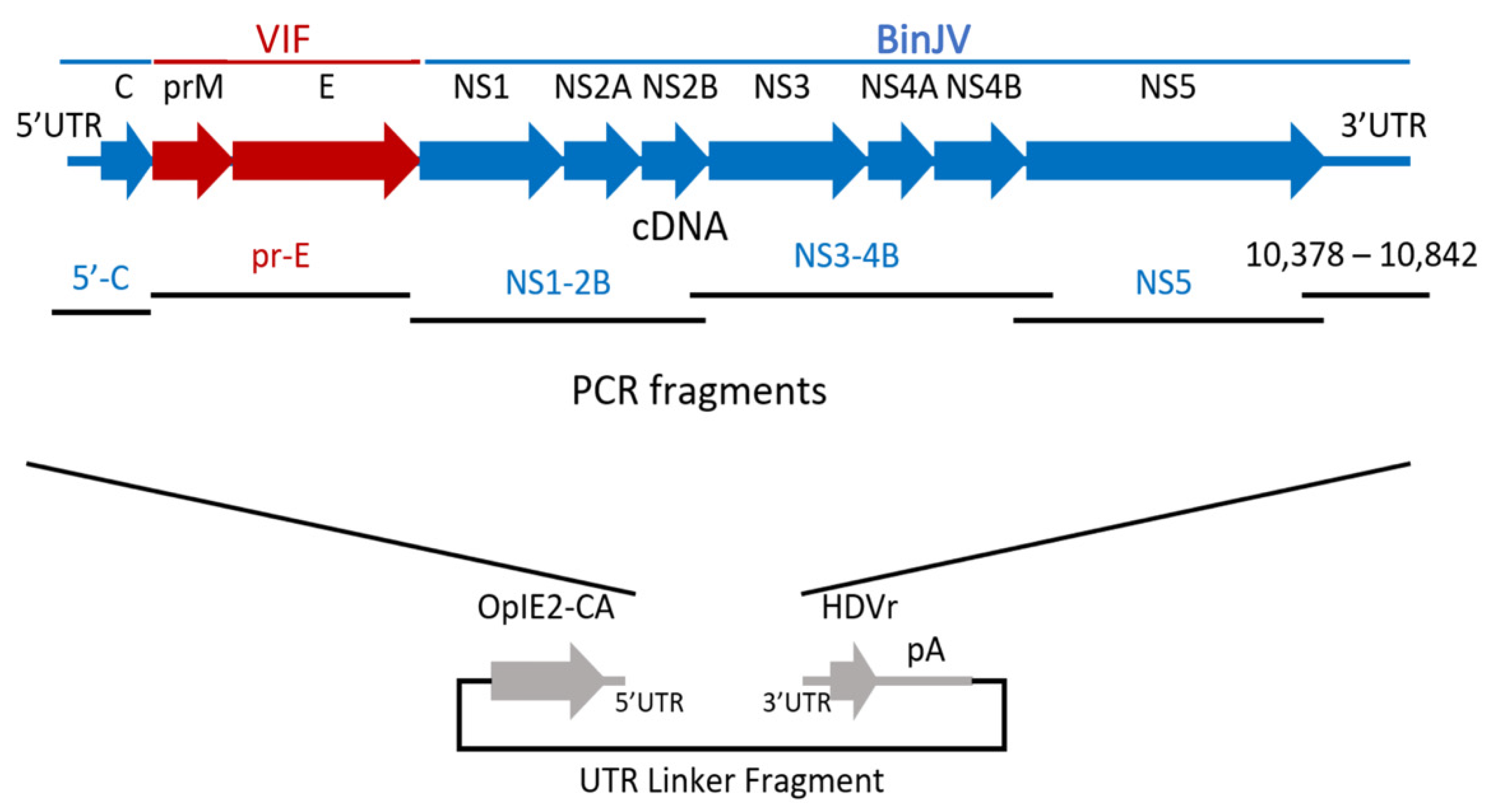 Vaccines 09 01230 g003