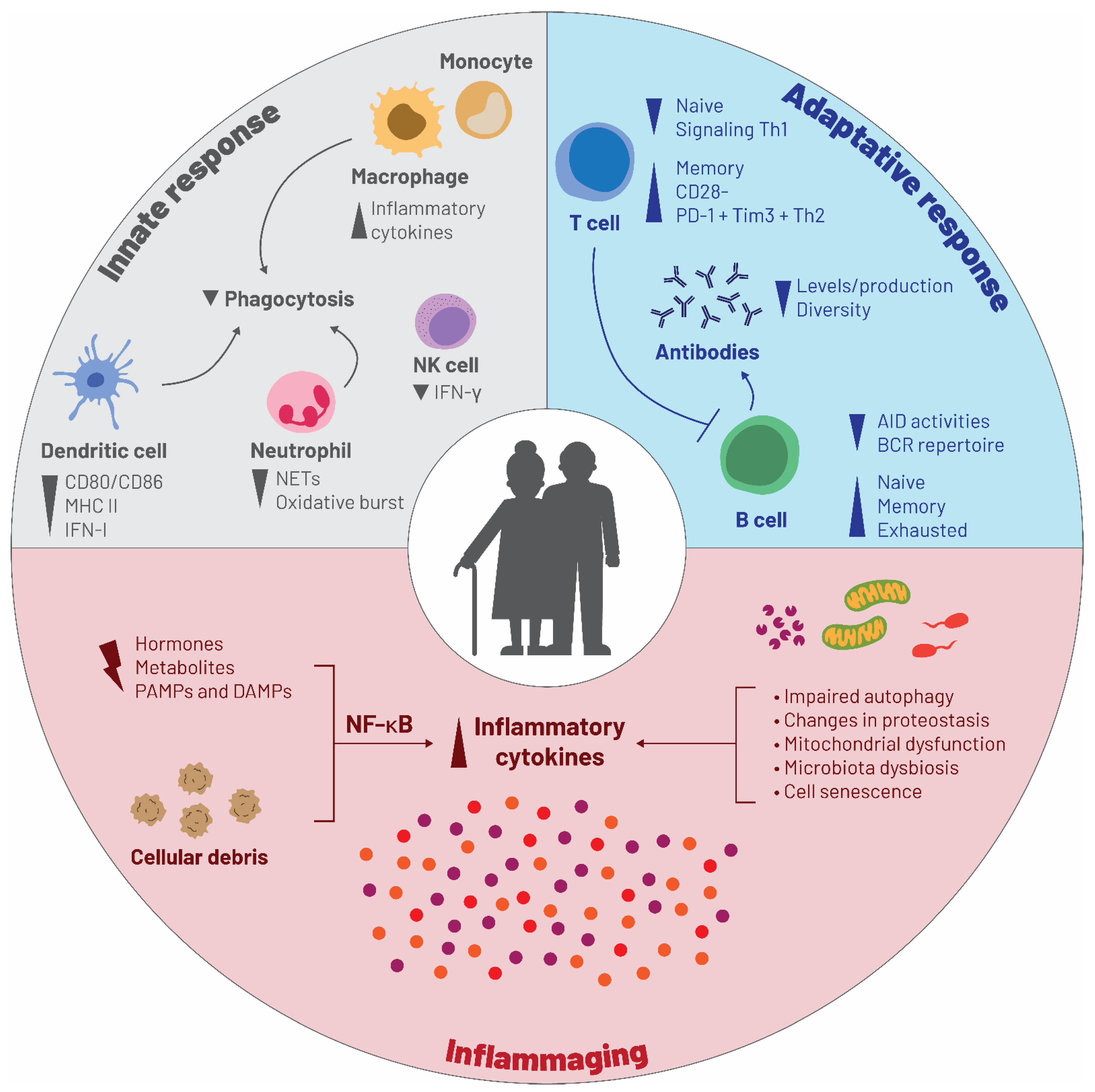 Vaccines 09 01232 g004