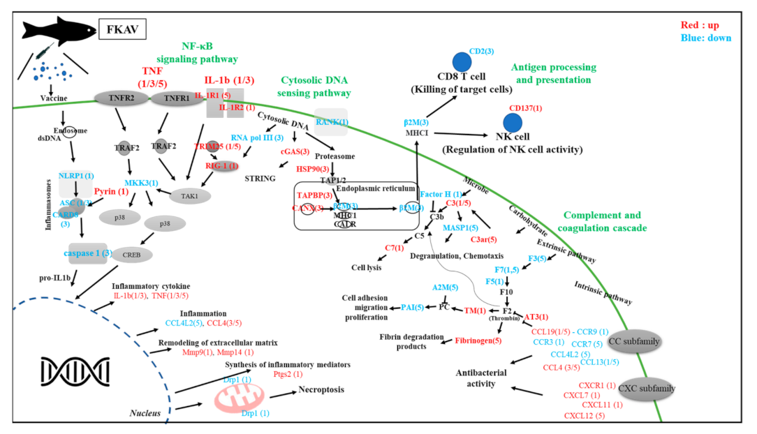 Vaccines 09 01234 g005