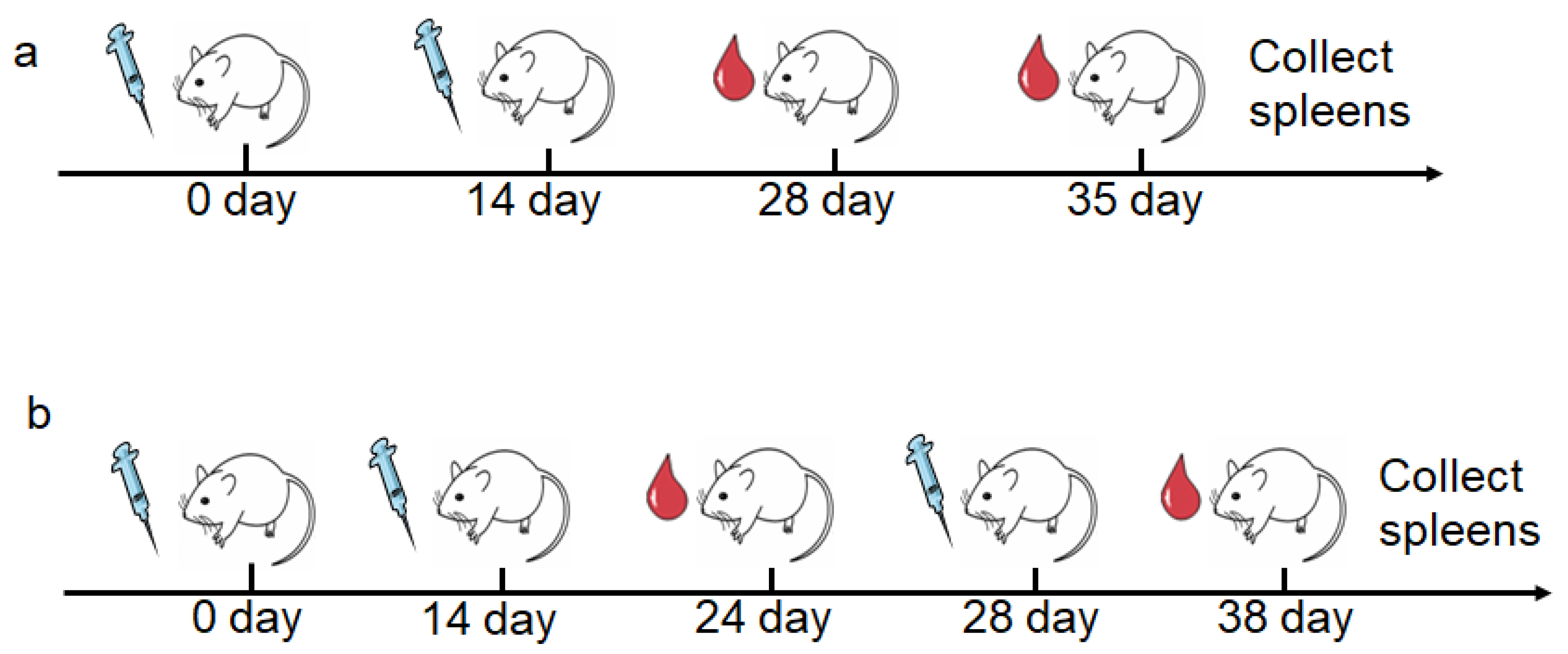 Vaccines 09 01244 g001