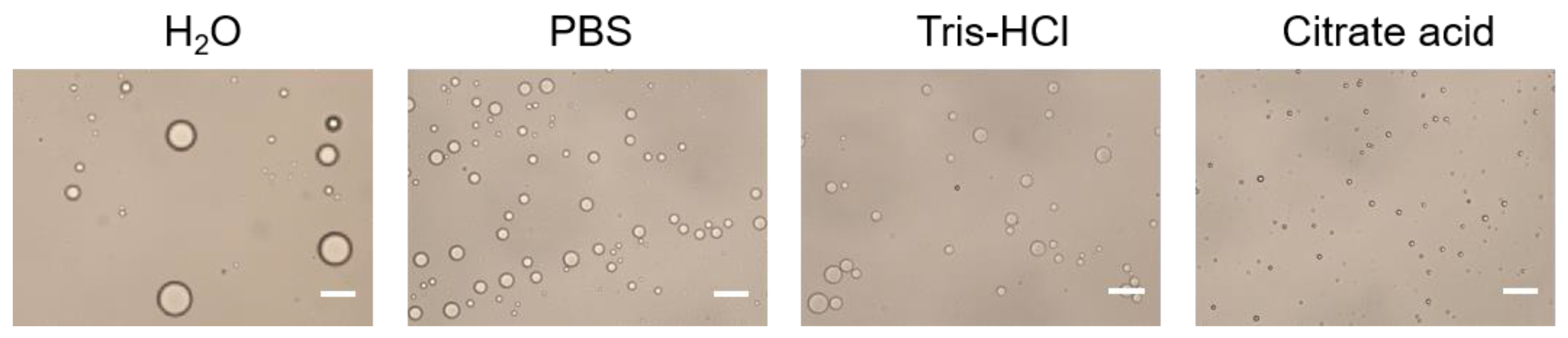 Vaccines 09 01244 g003