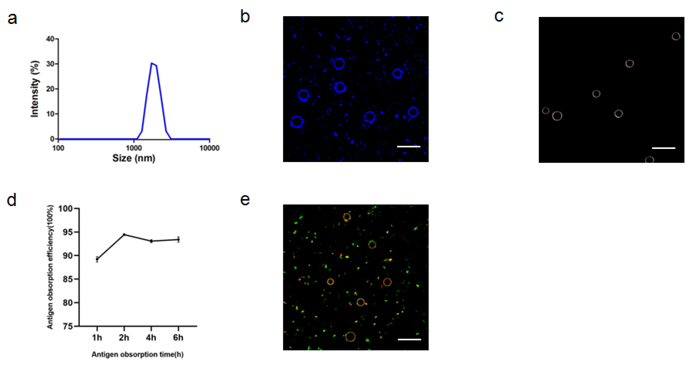 Vaccines 09 01244 g005