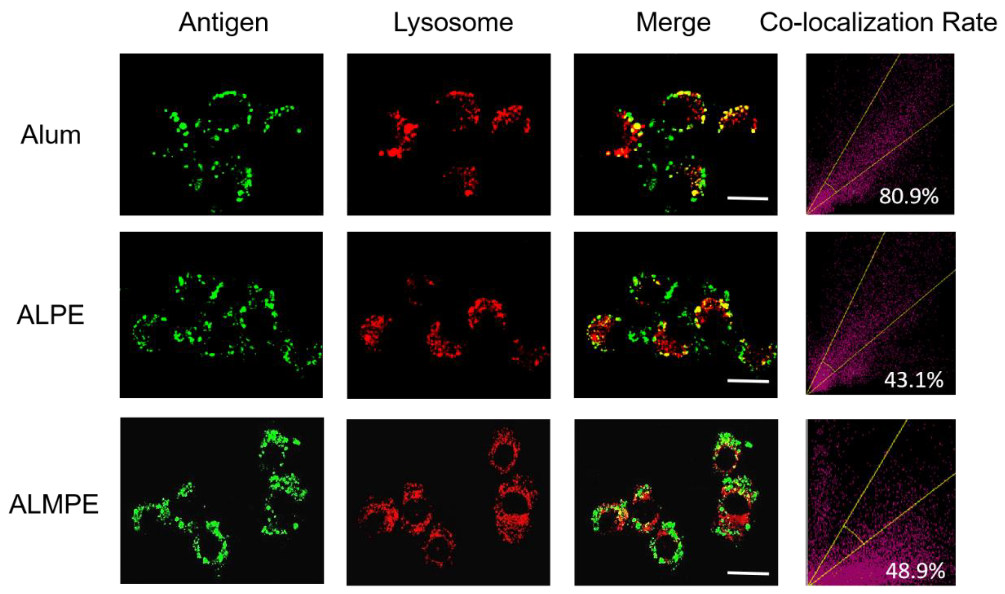 Vaccines 09 01244 g009