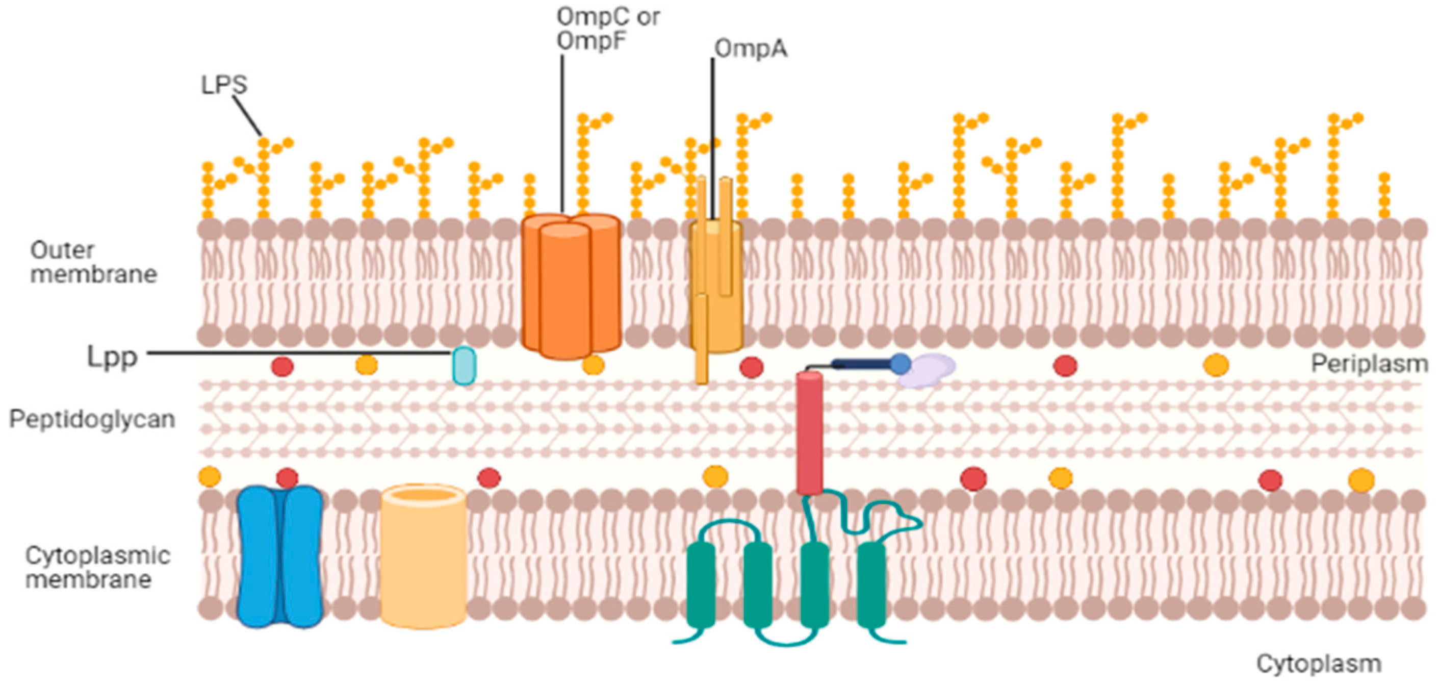 Vaccines 09 01245 g001
