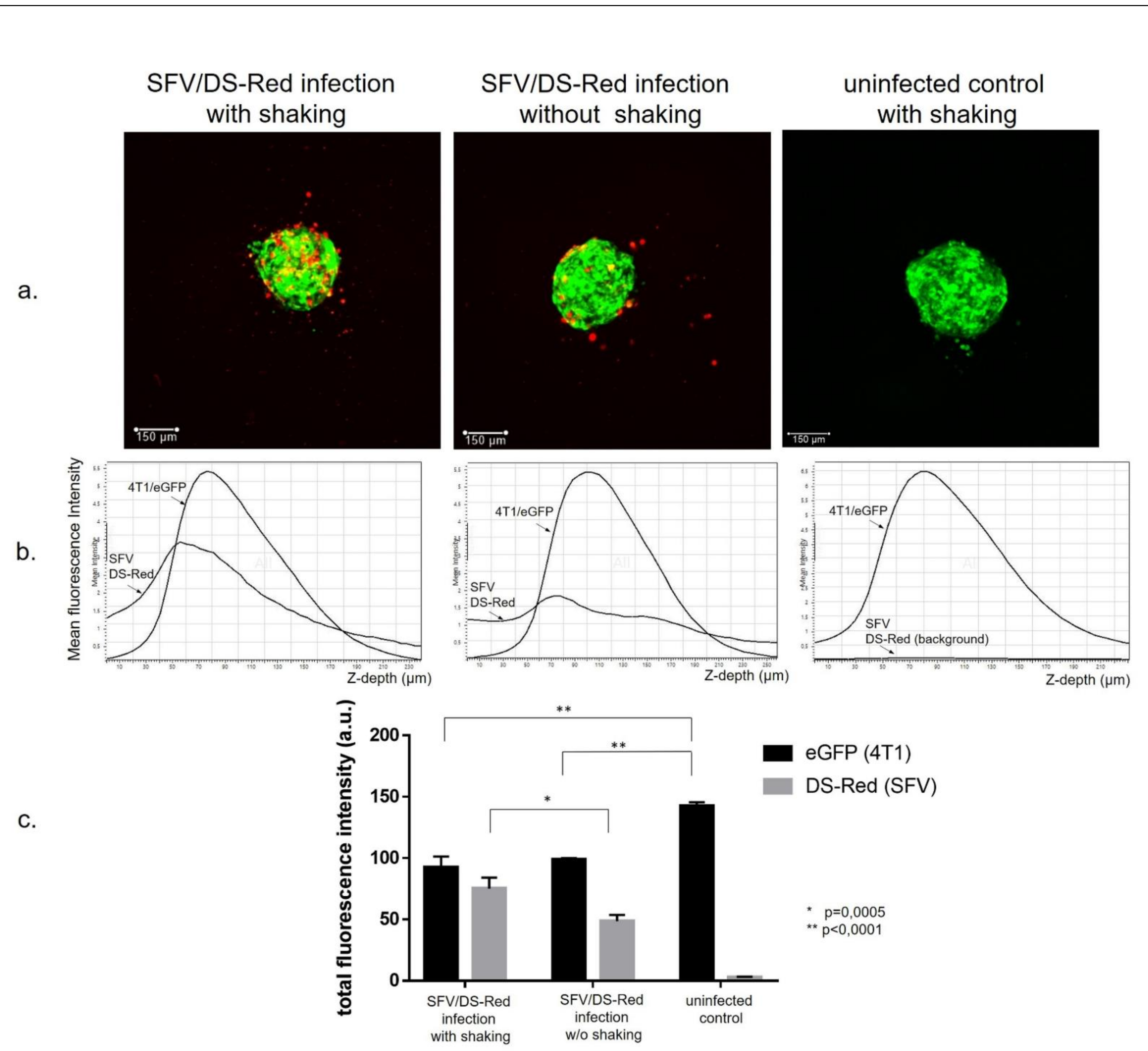 Vaccines 09 01247 g001