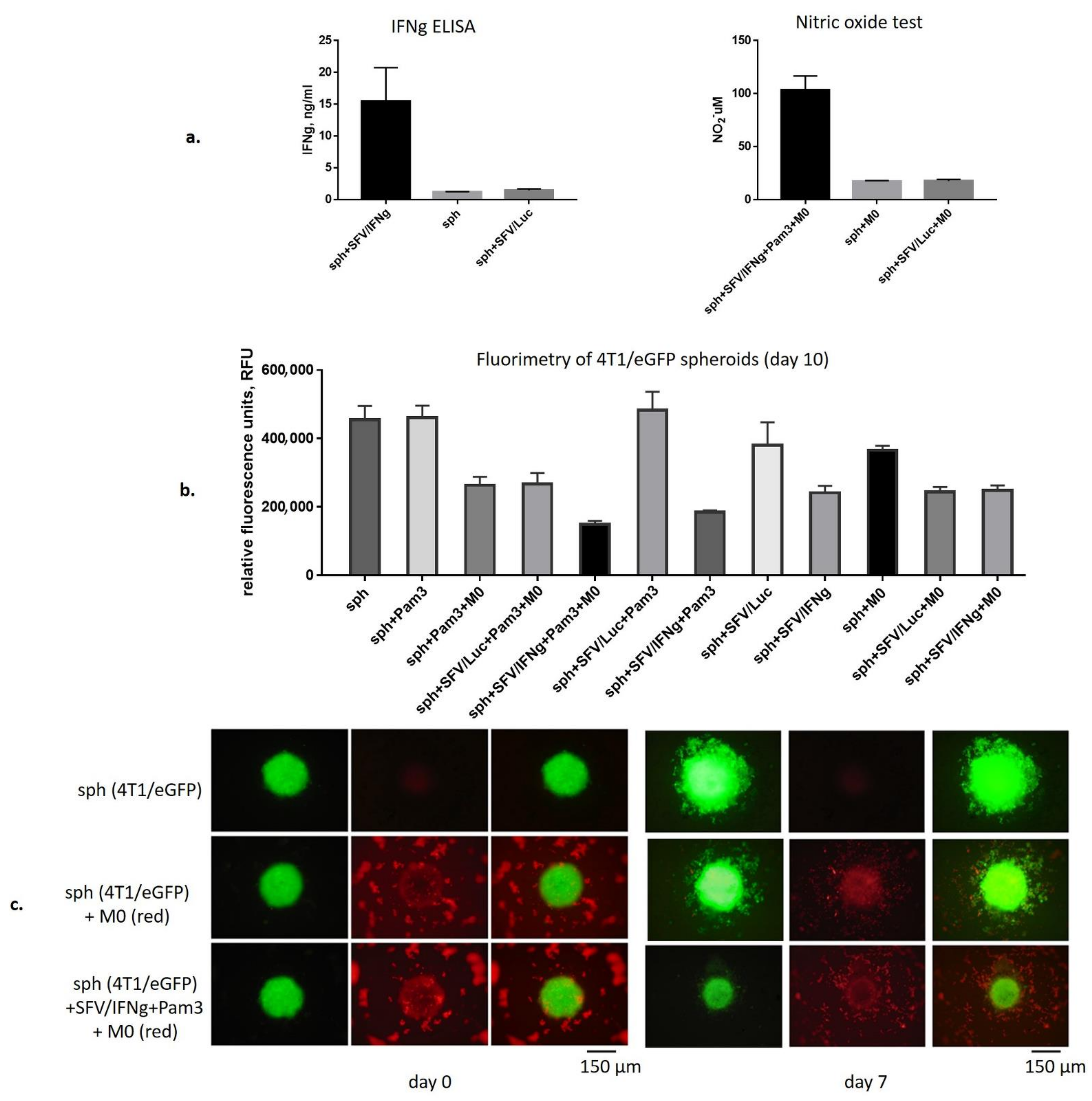 Vaccines 09 01247 g003
