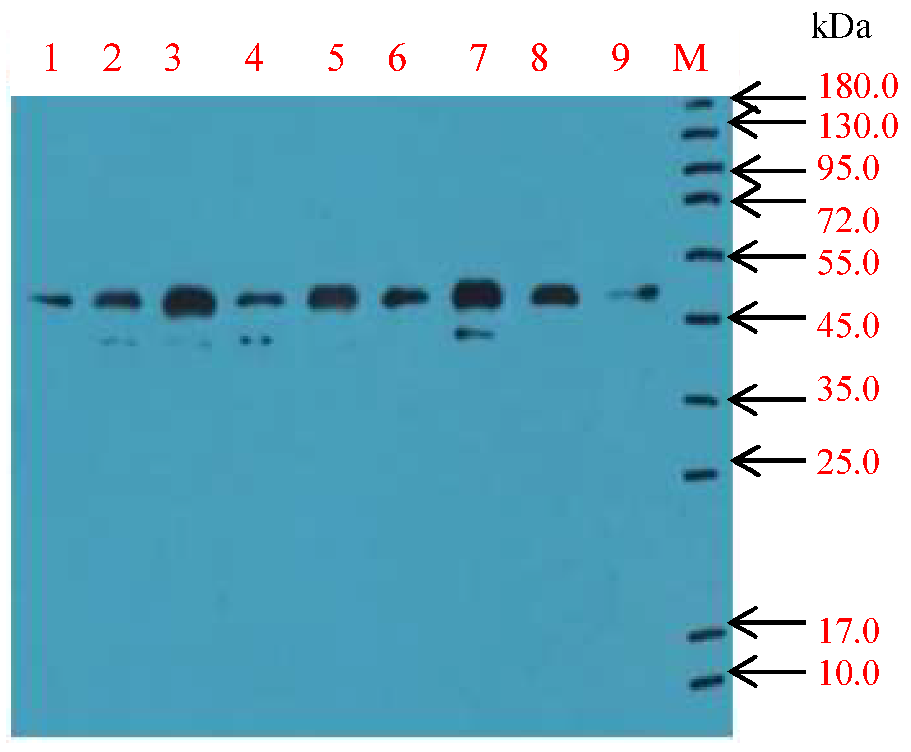 Vaccines 09 01264 g002