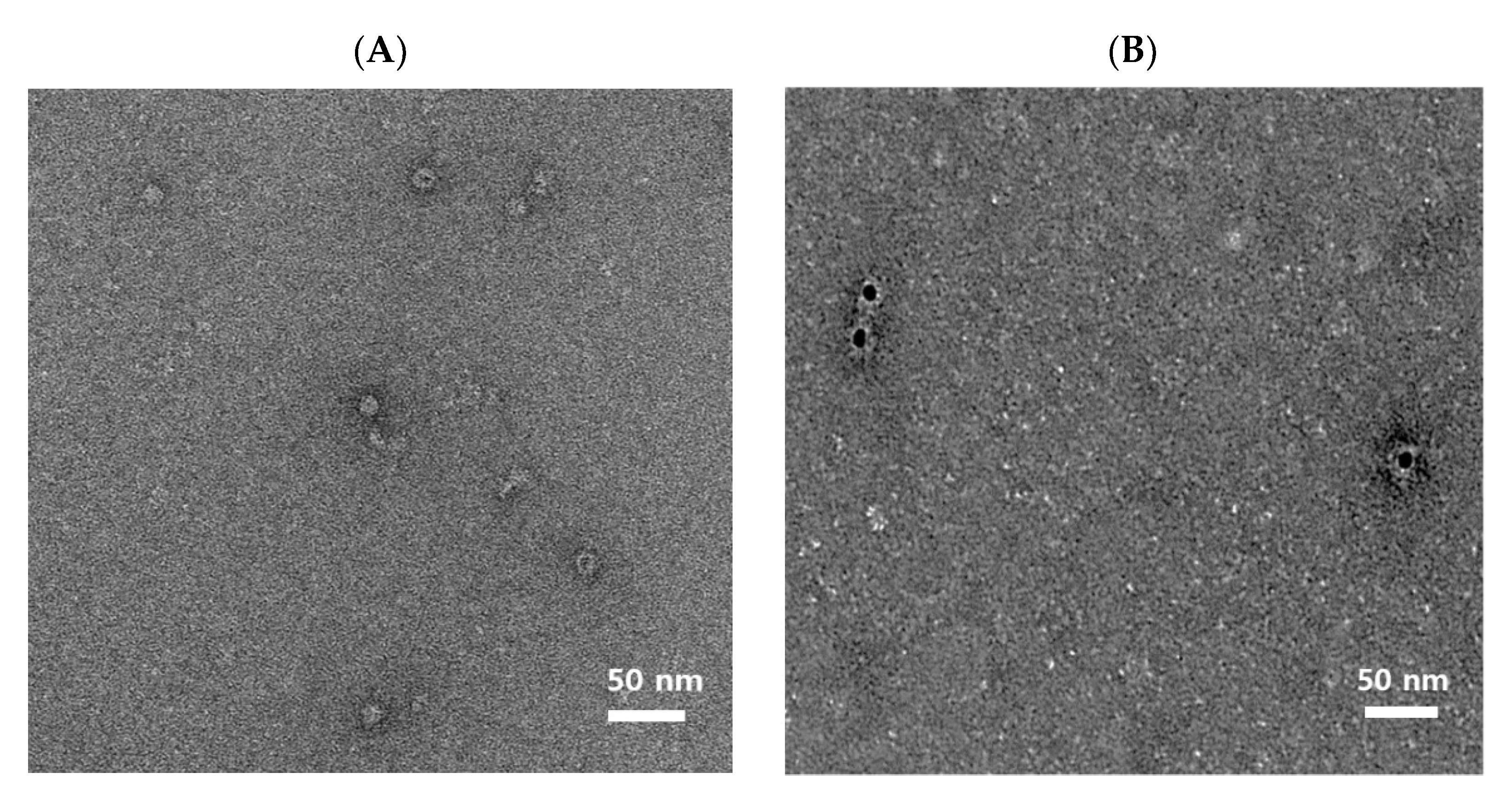 Vaccines 09 01265 g002
