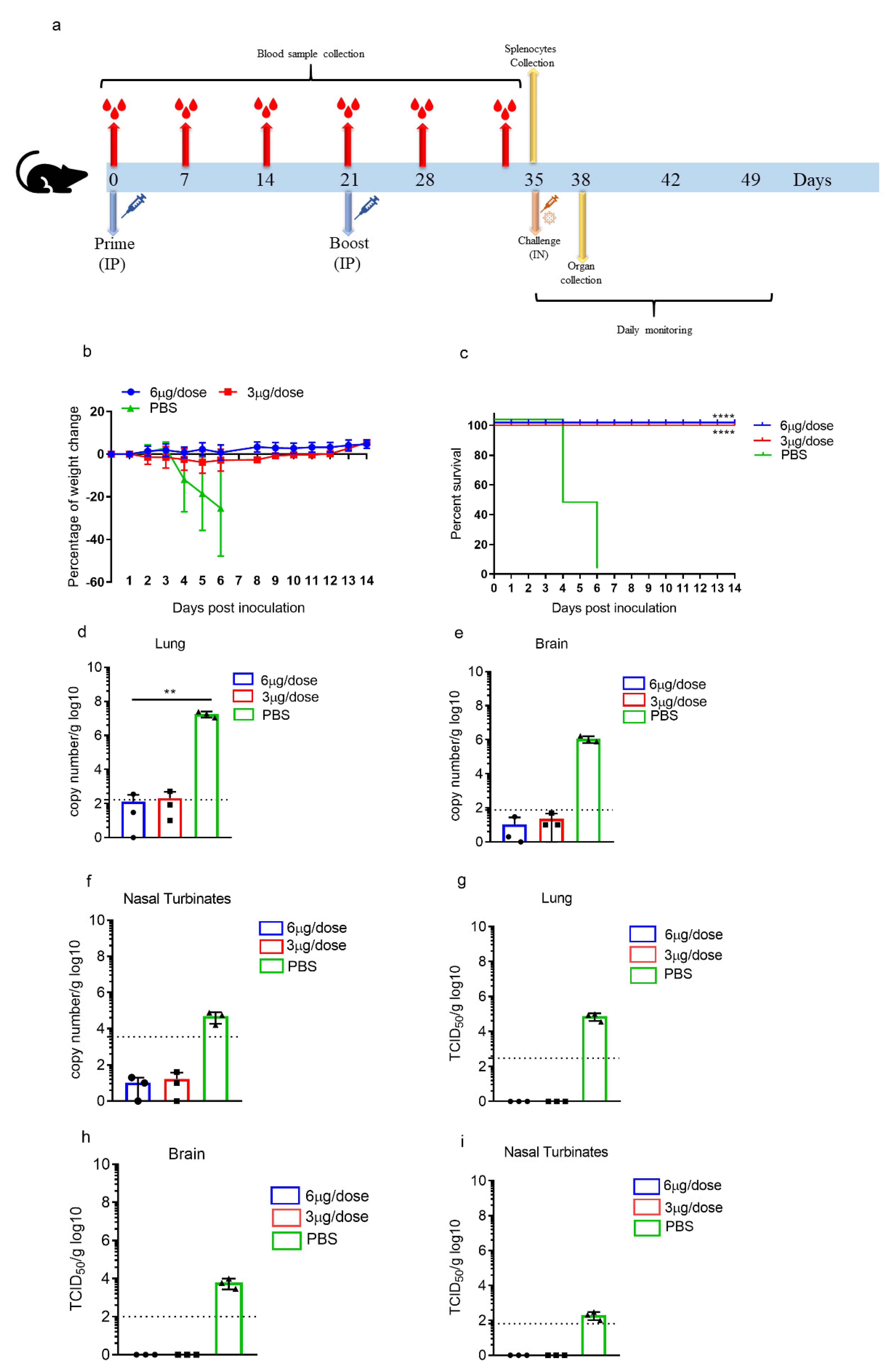 Vaccines 09 01266 g003