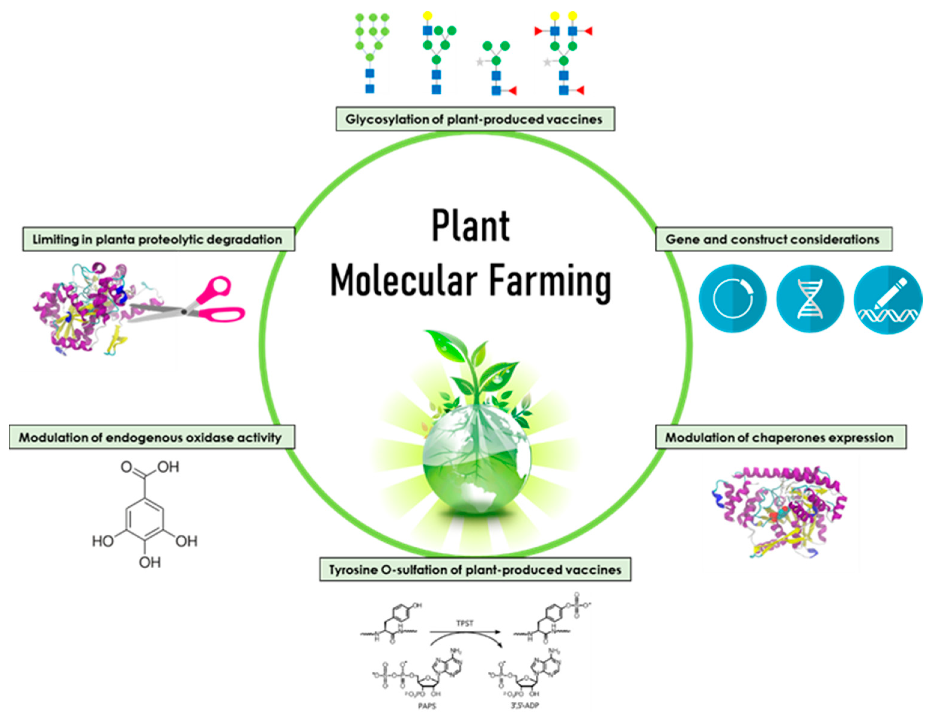 Vaccines 09 01270 g001