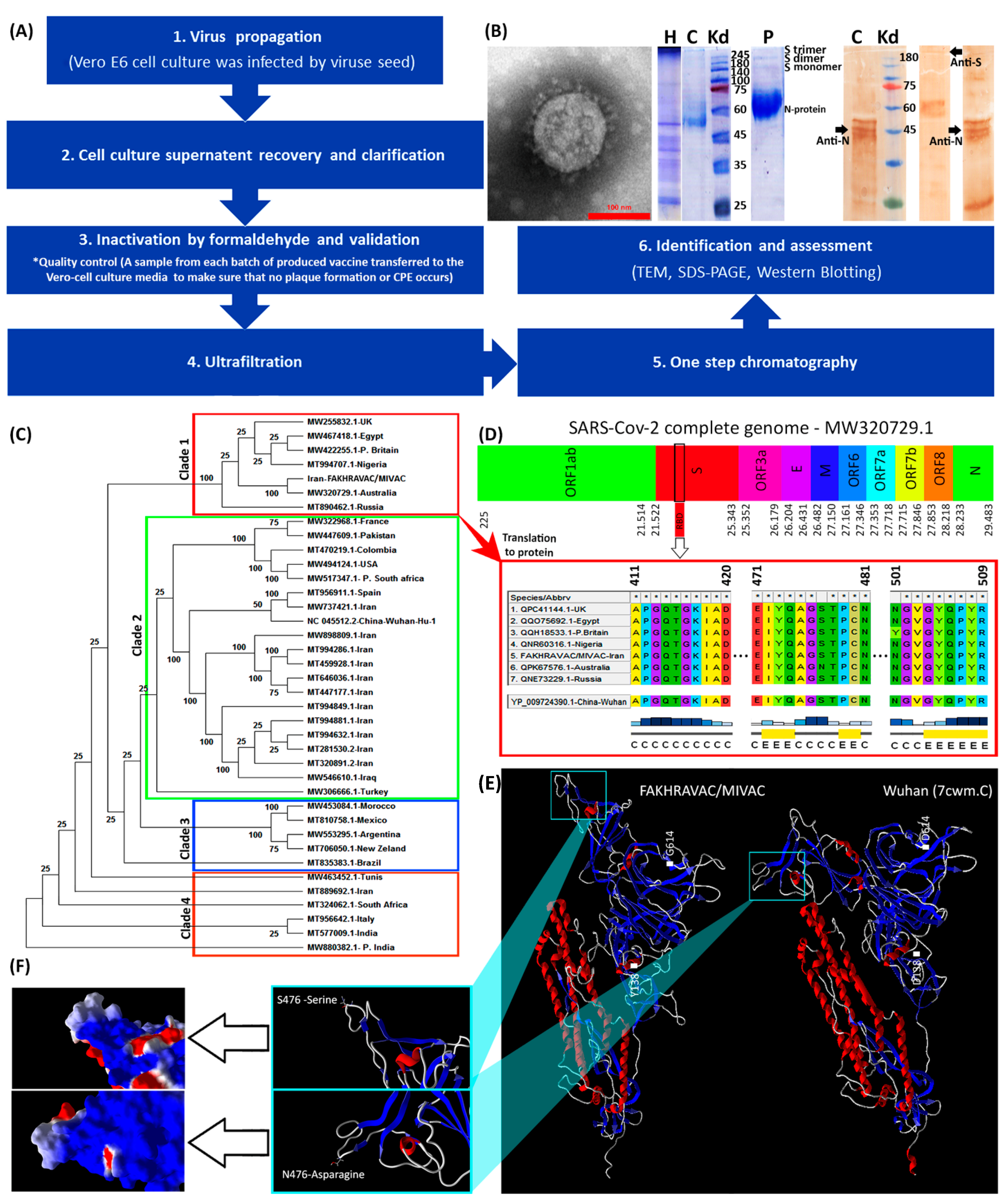Vaccines 09 01271 g001