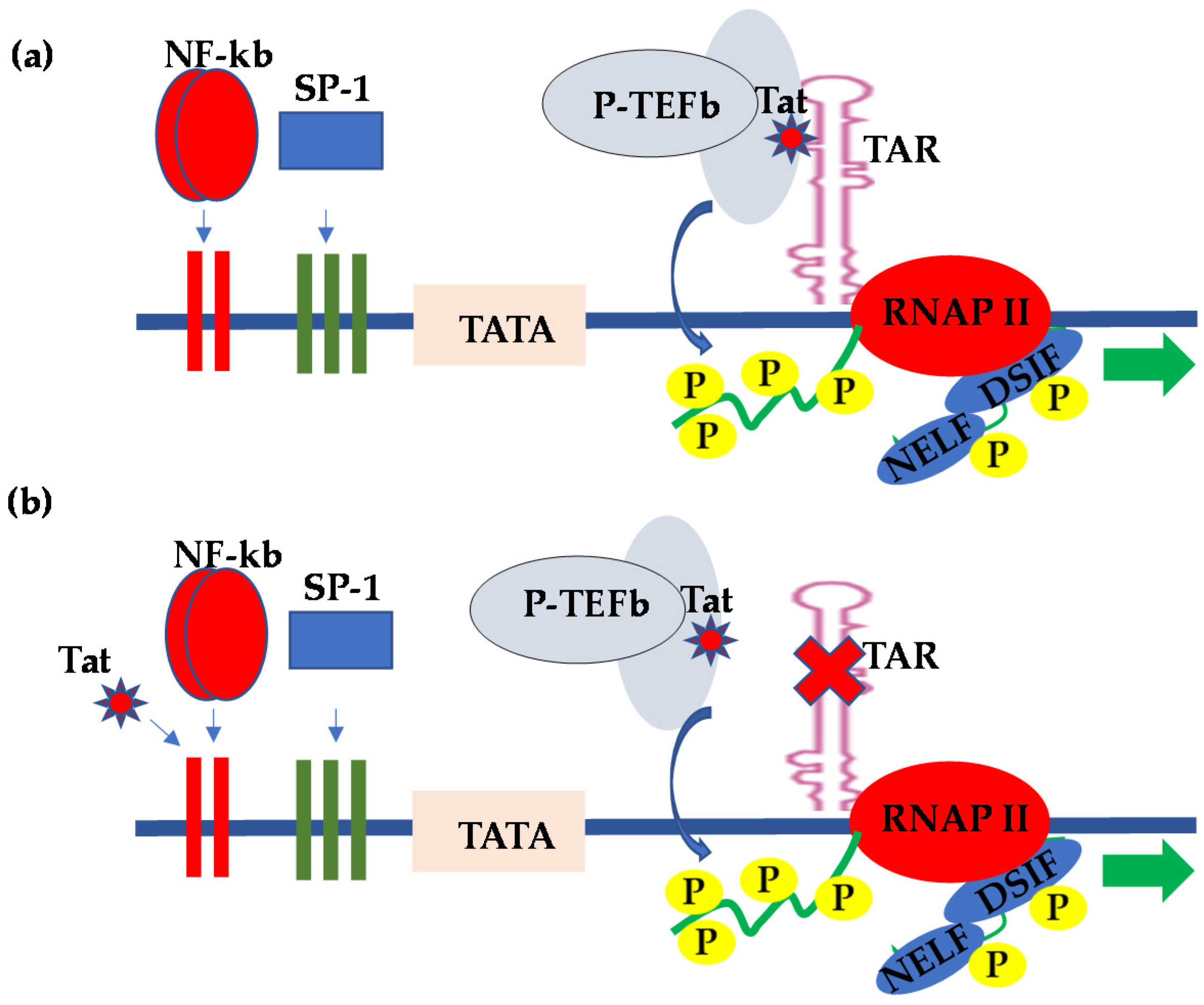 Vaccines 09 01272 g001