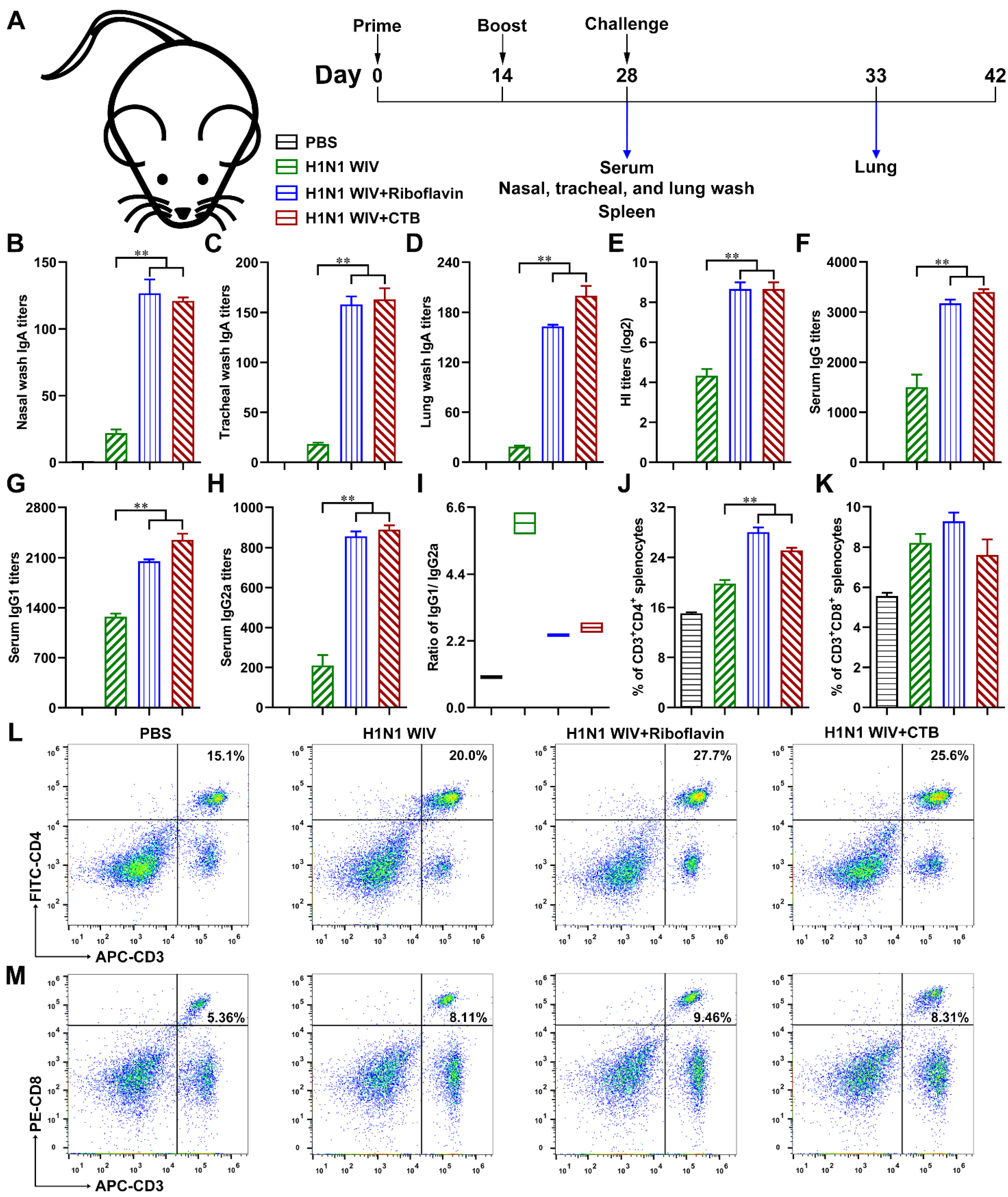 Vaccines 09 01296 g002