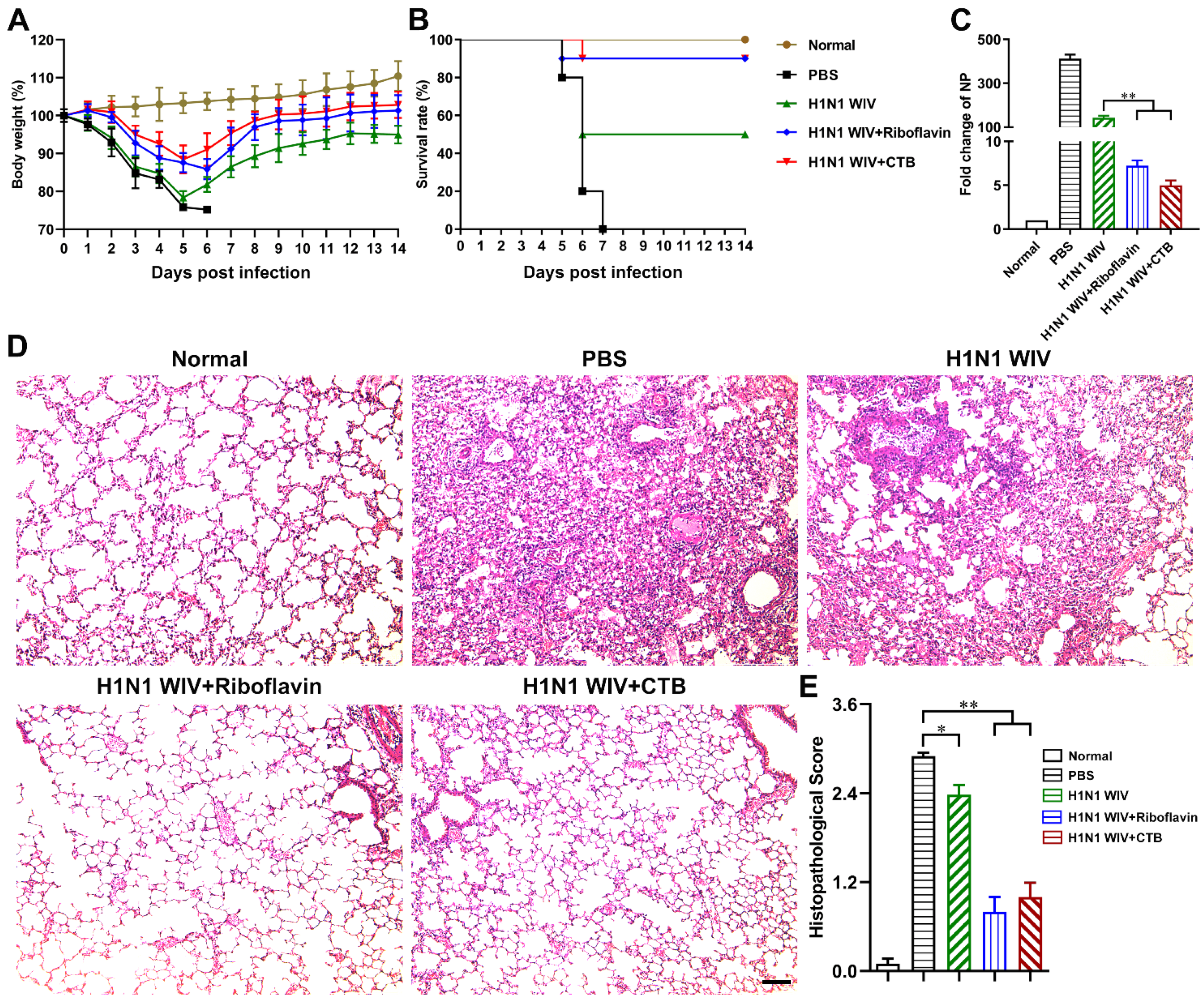Vaccines 09 01296 g003