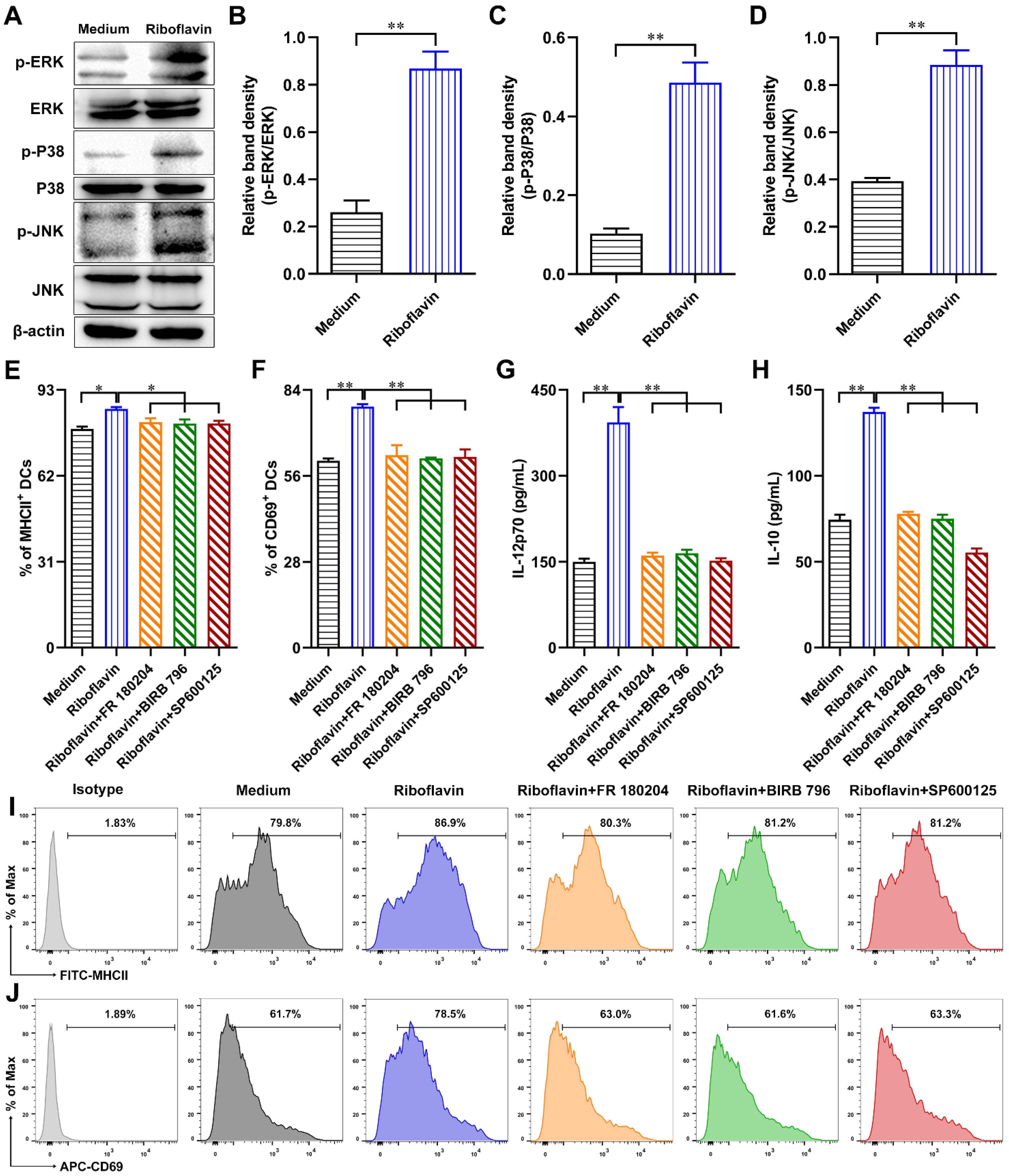 Vaccines 09 01296 g008