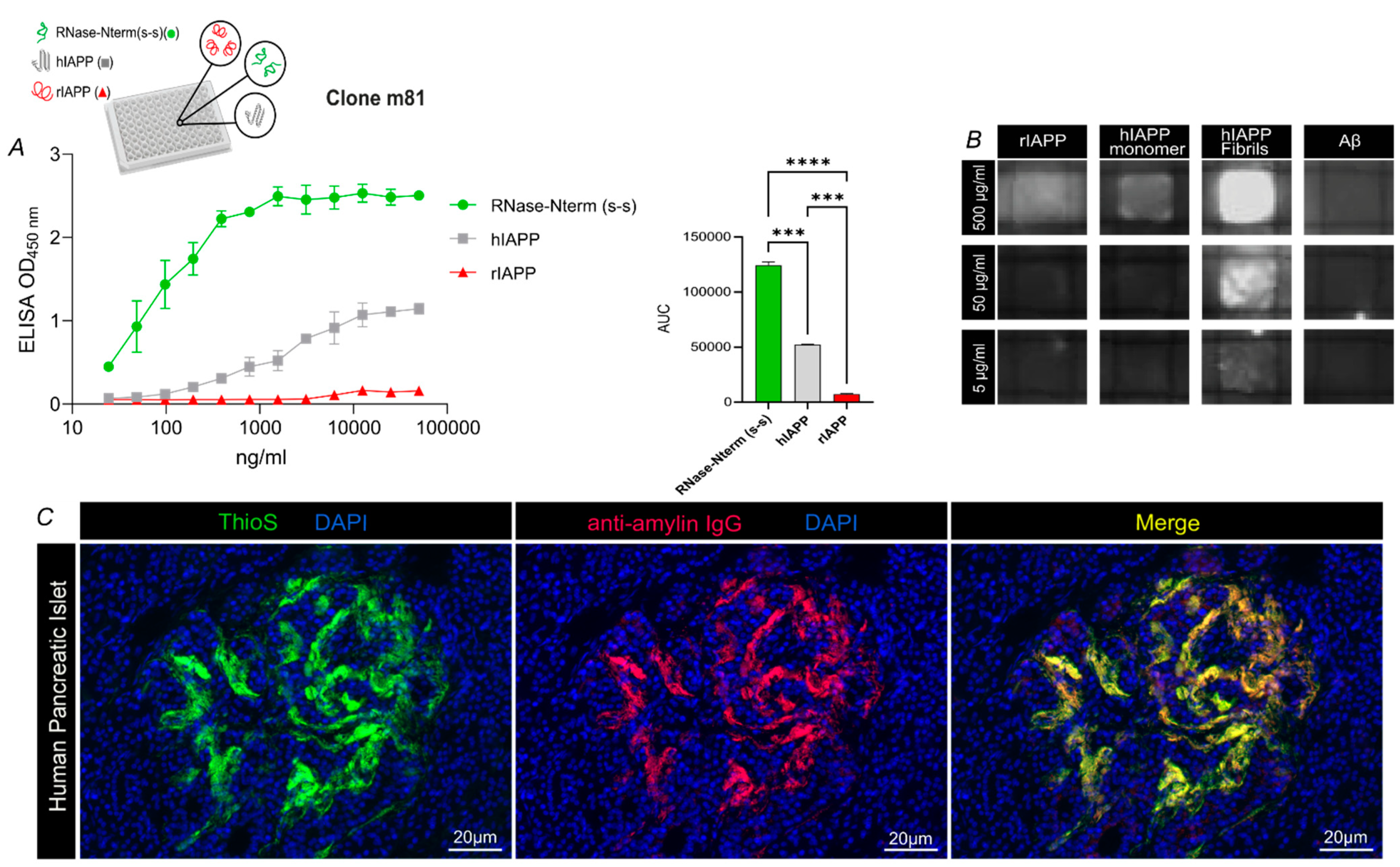 Vaccines 09 01316 g002