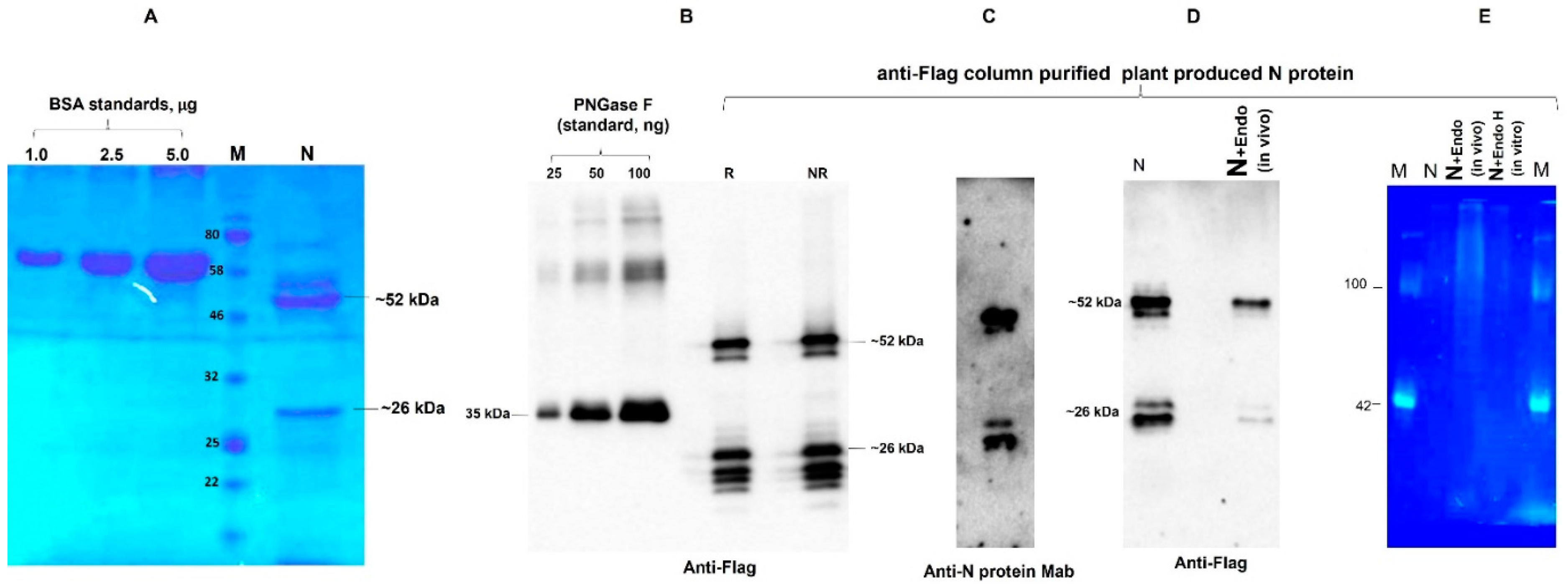 Vaccines 09 01337 g001 Vaccines 09 01337 g001