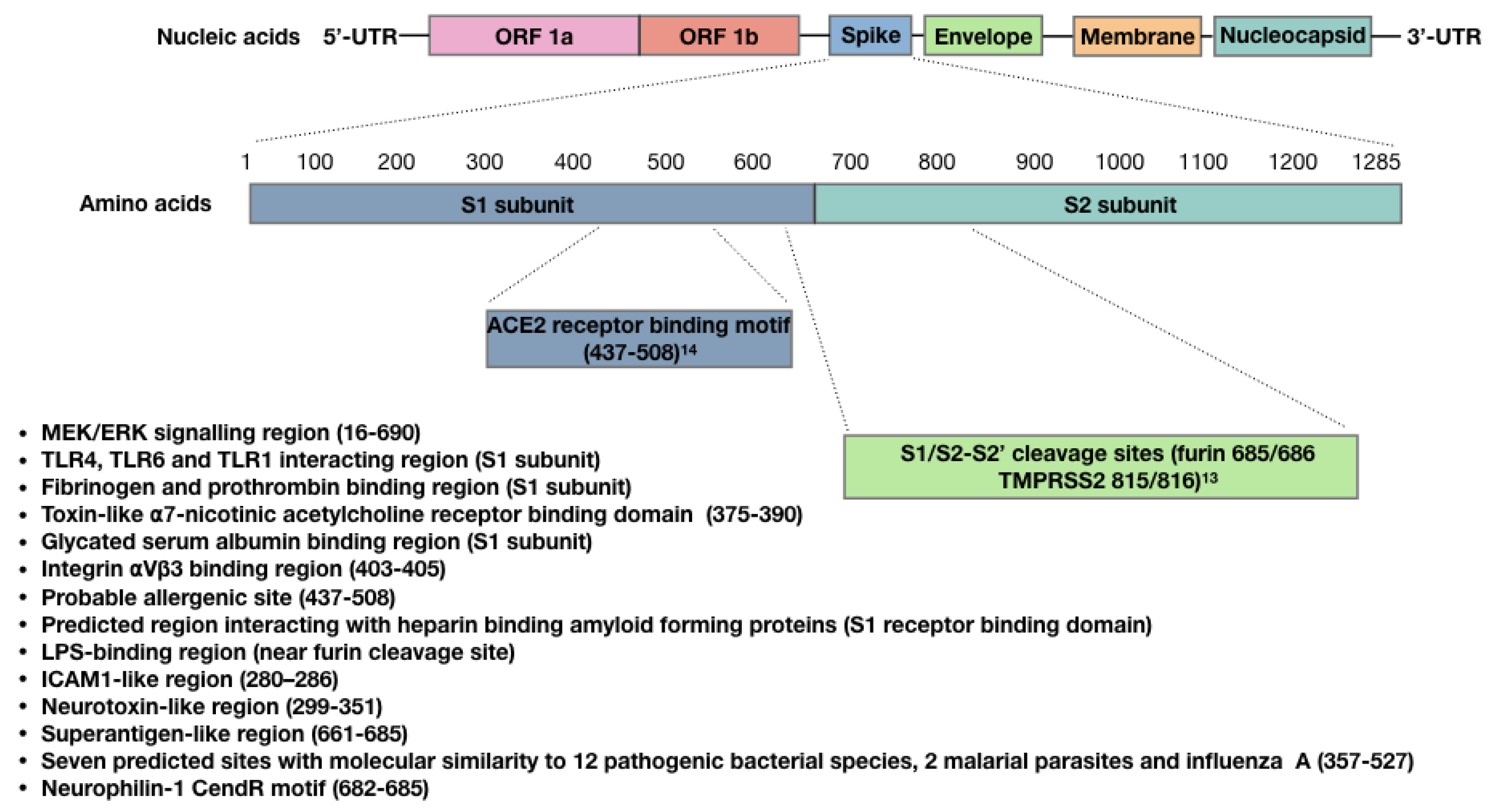 Vaccines 09 01351 g001