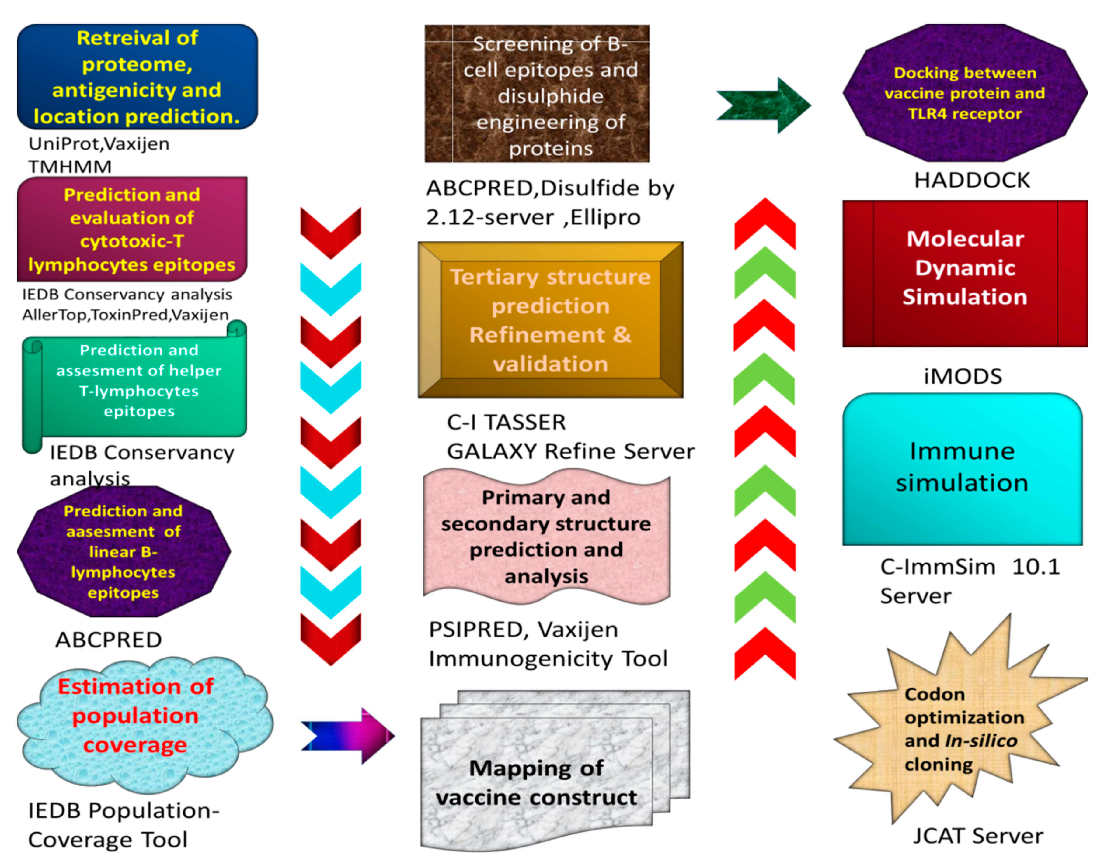 Vaccines 09 01373 g001
