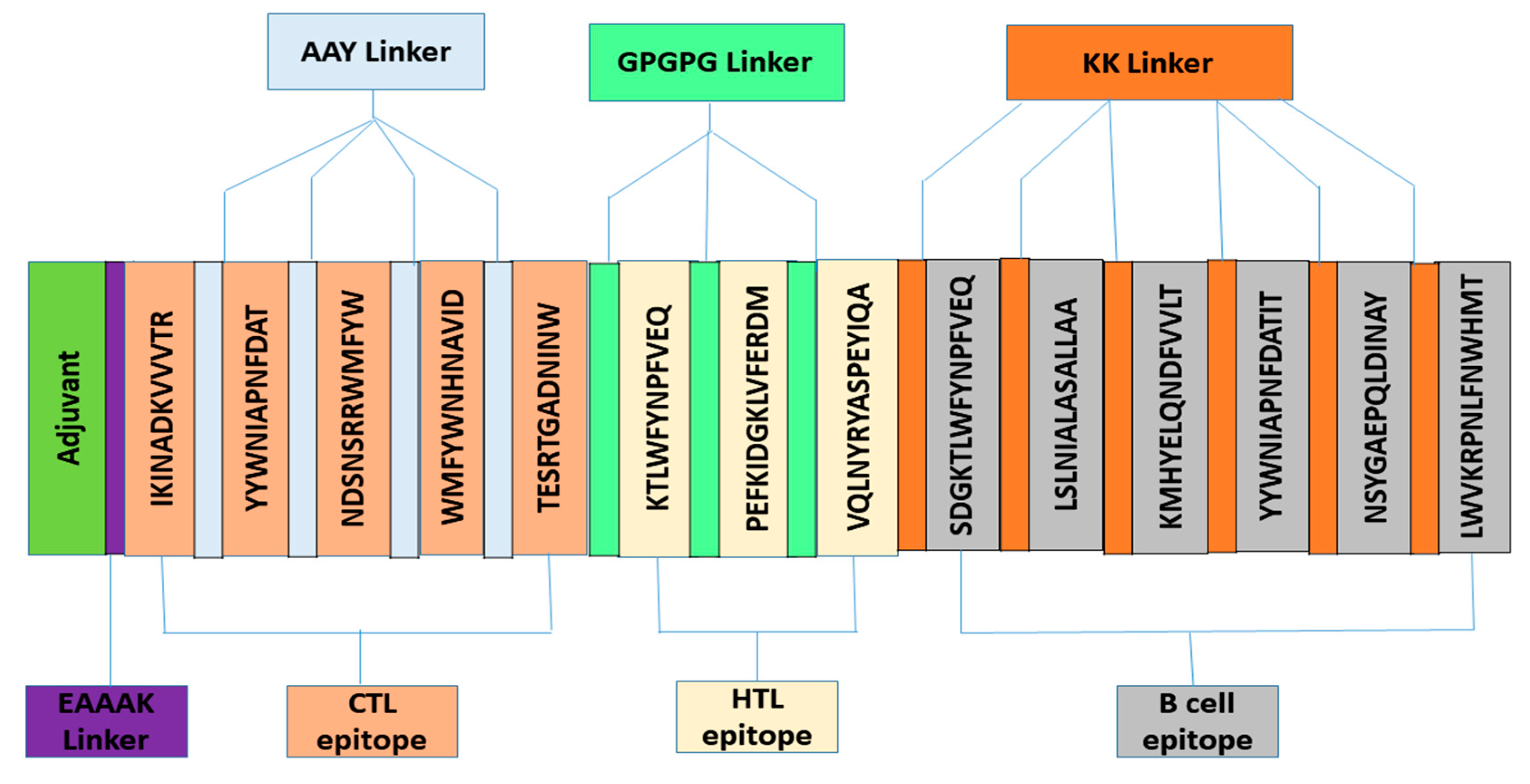 Vaccines 09 01373 g002
