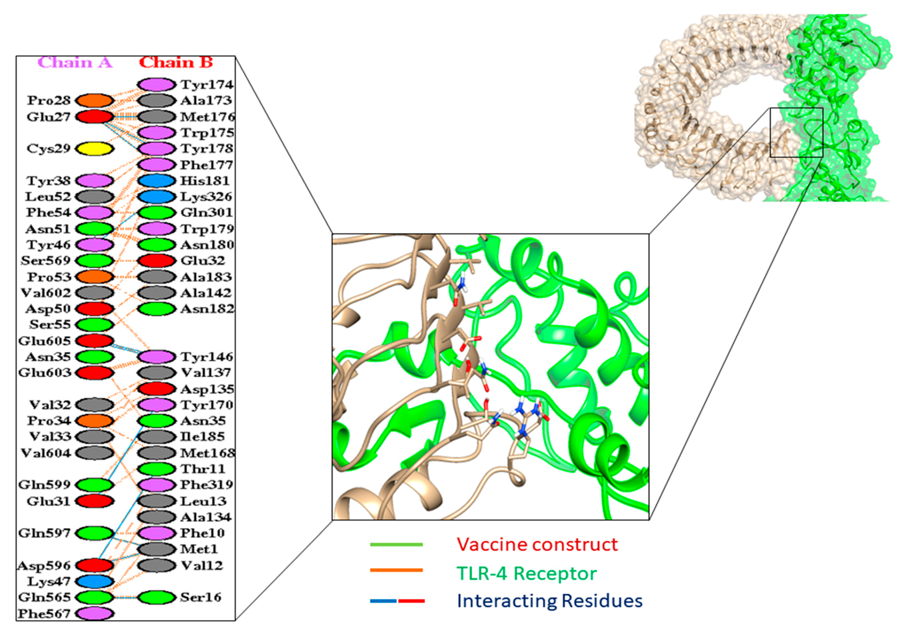 Vaccines 09 01373 g005