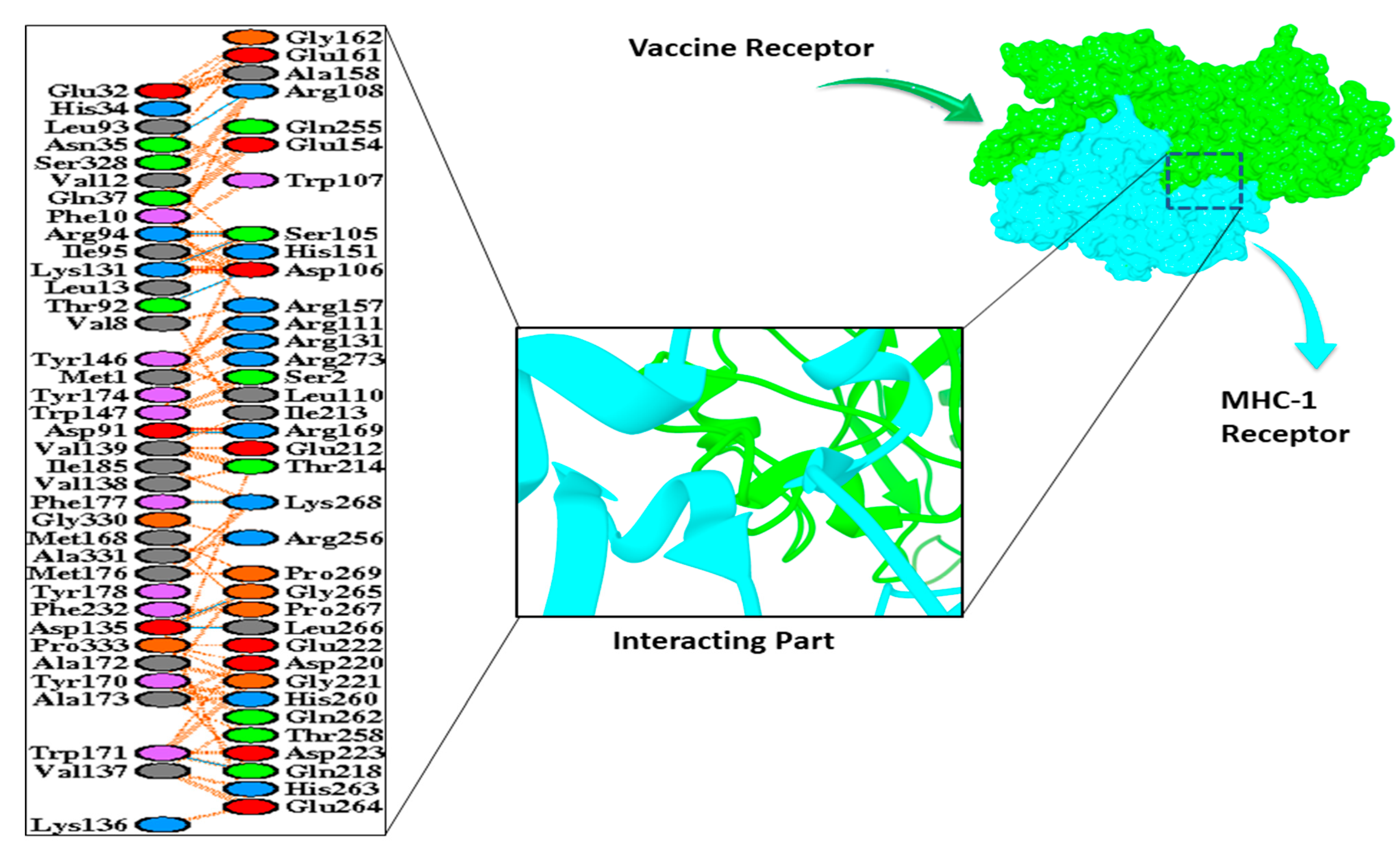 Vaccines 09 01373 g006