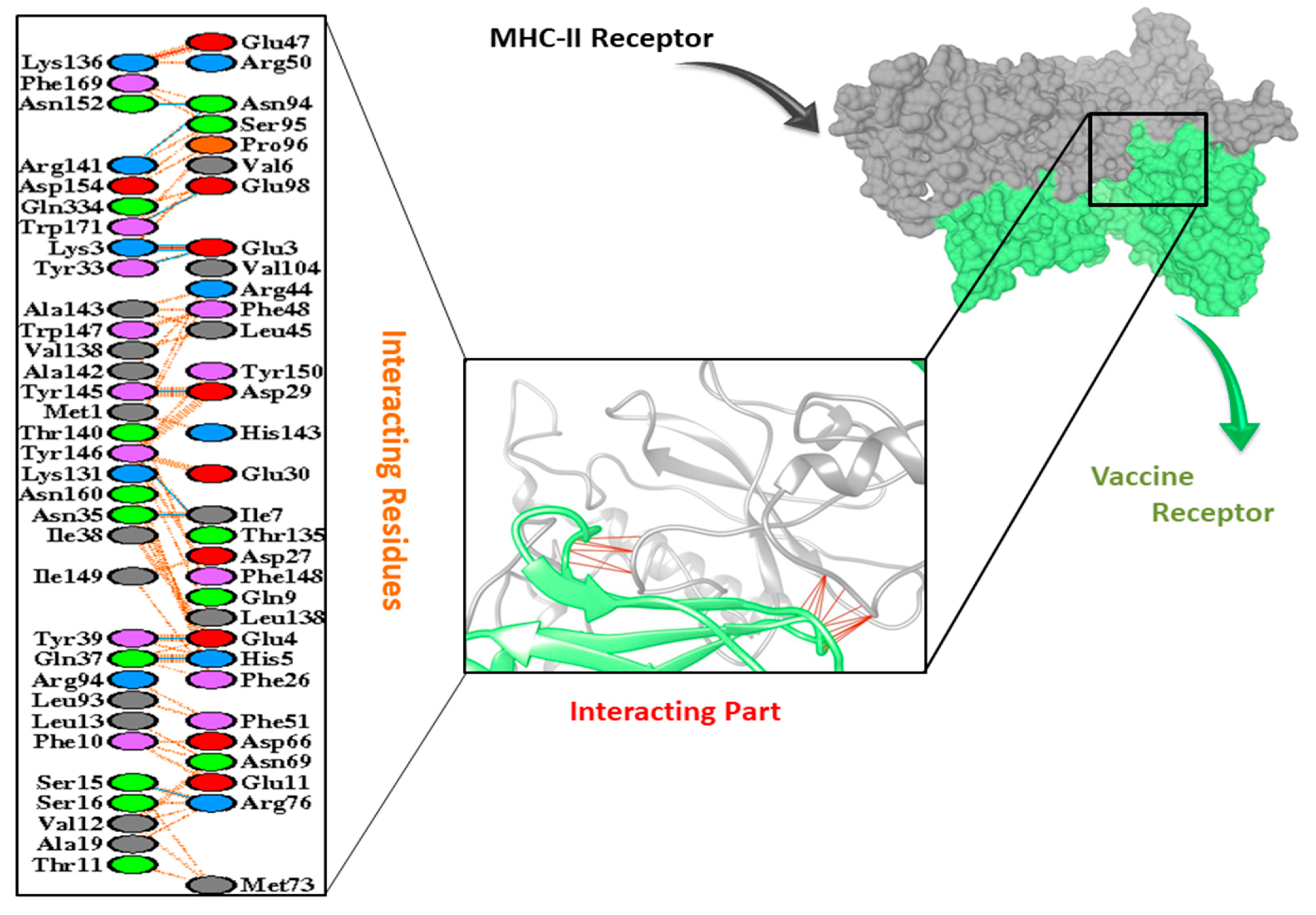 Vaccines 09 01373 g007
