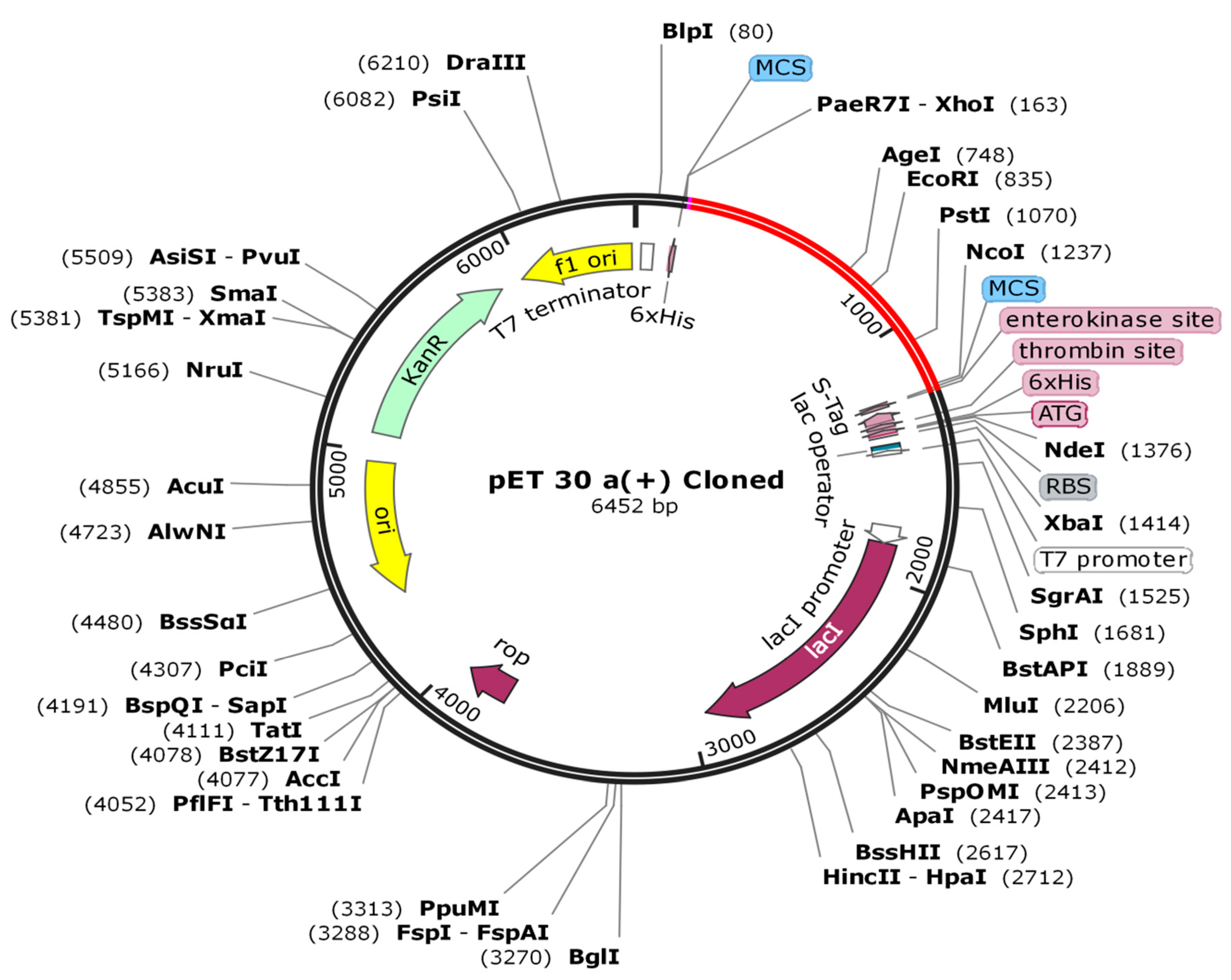 Vaccines 09 01373 g010