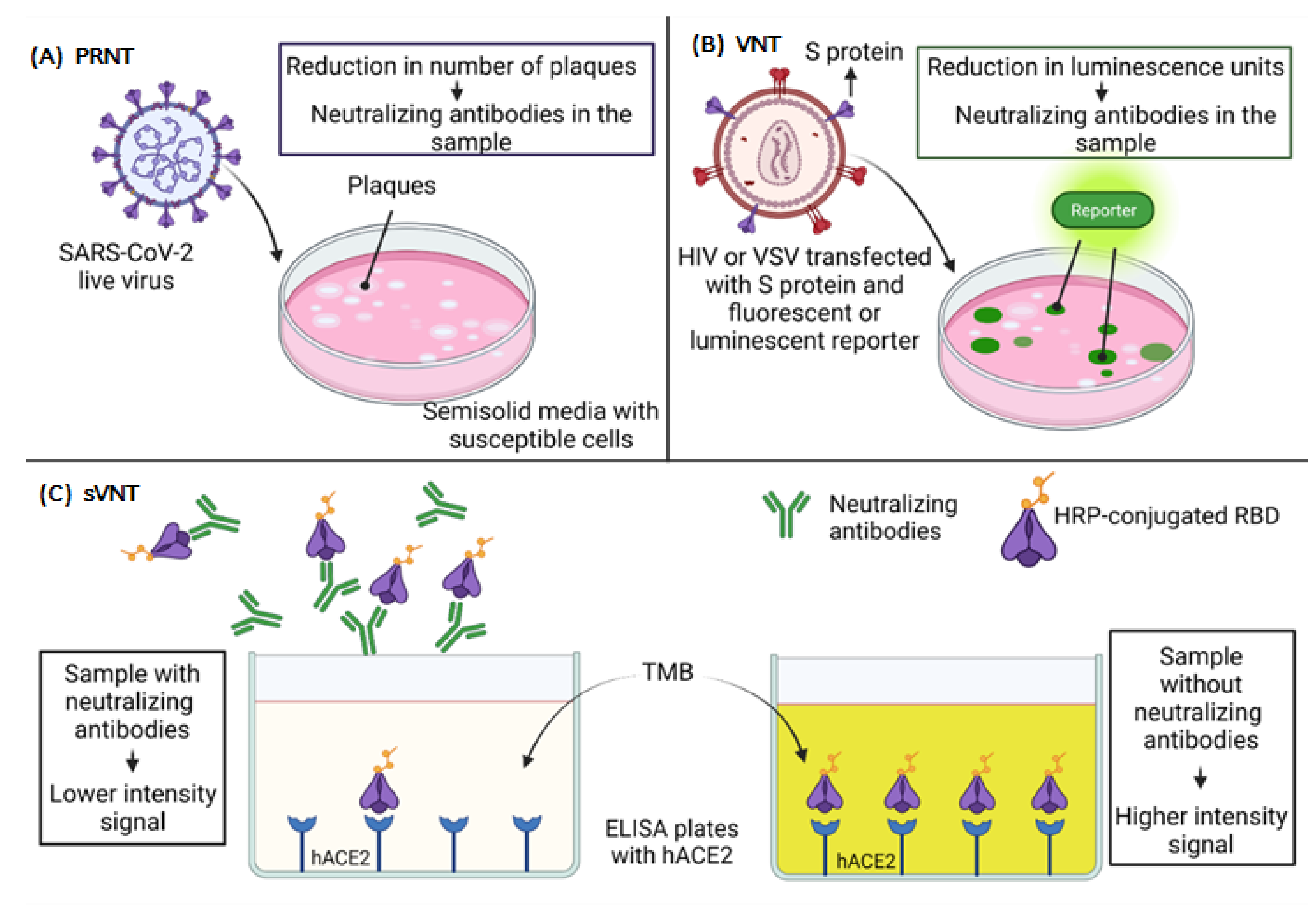 Vaccines 09 01376 g004