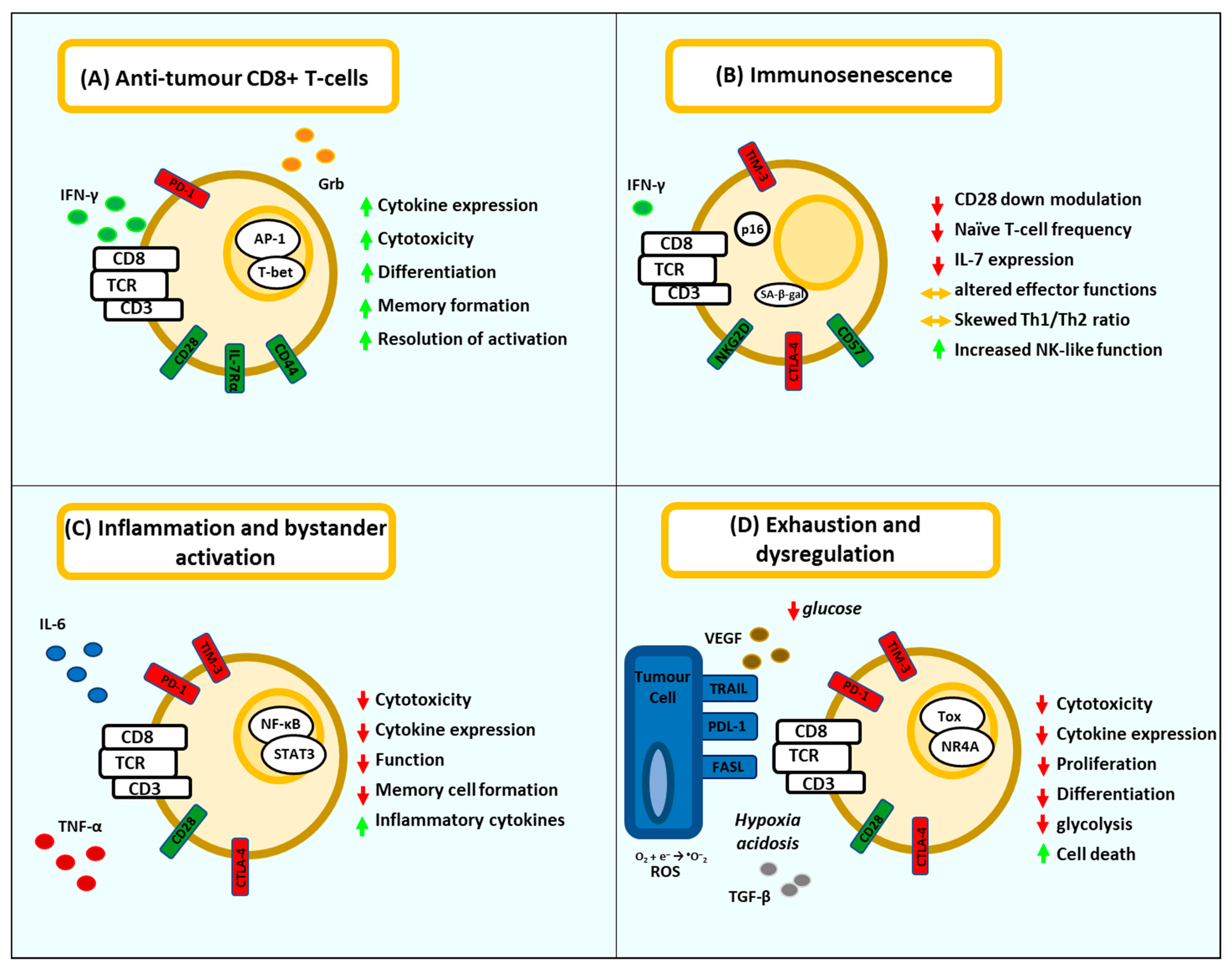 Vaccines 09 01392 g001 Vaccines 09 01392 g001