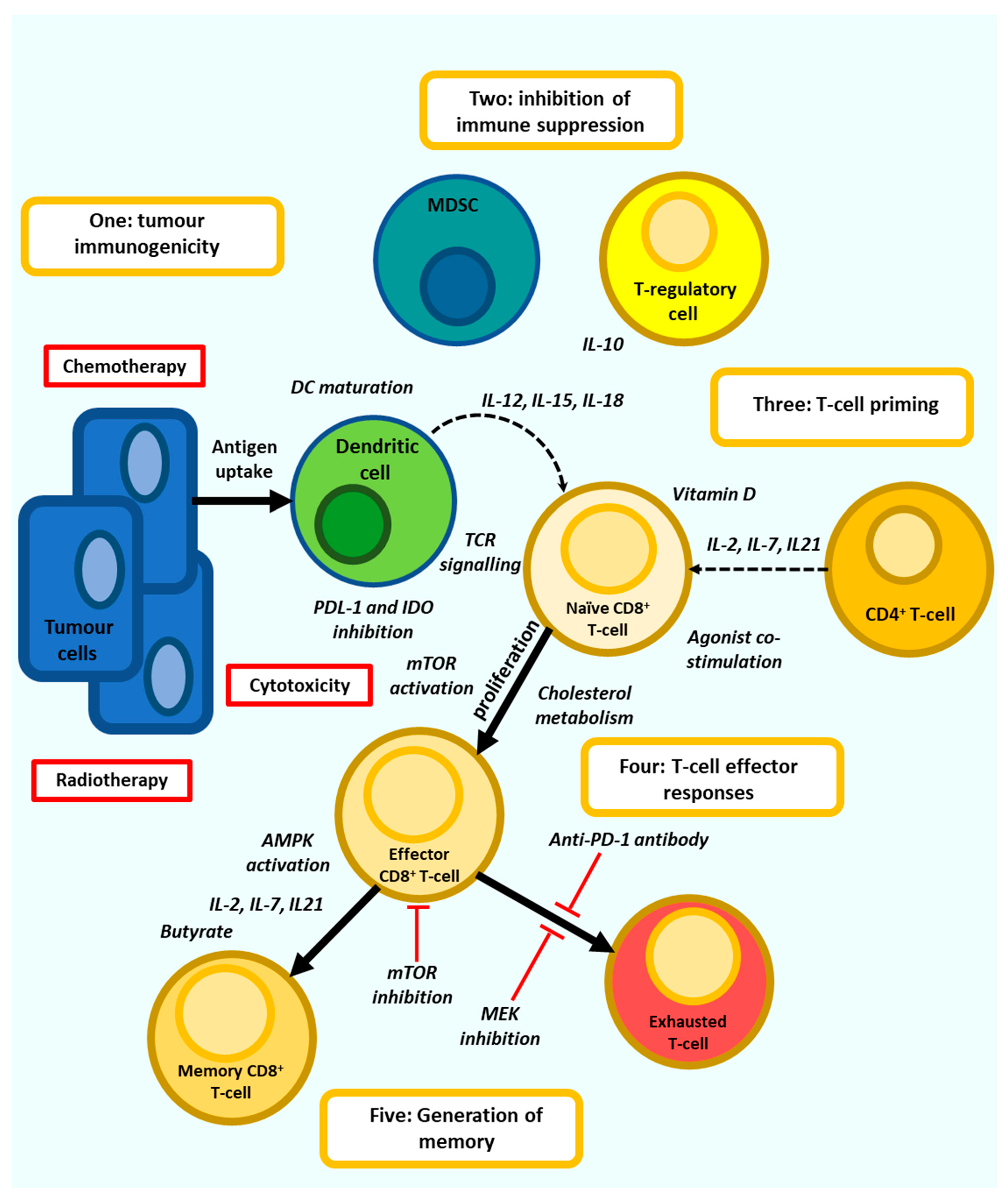 Vaccines 09 01392 g003 Vaccines 09 01392 g003
