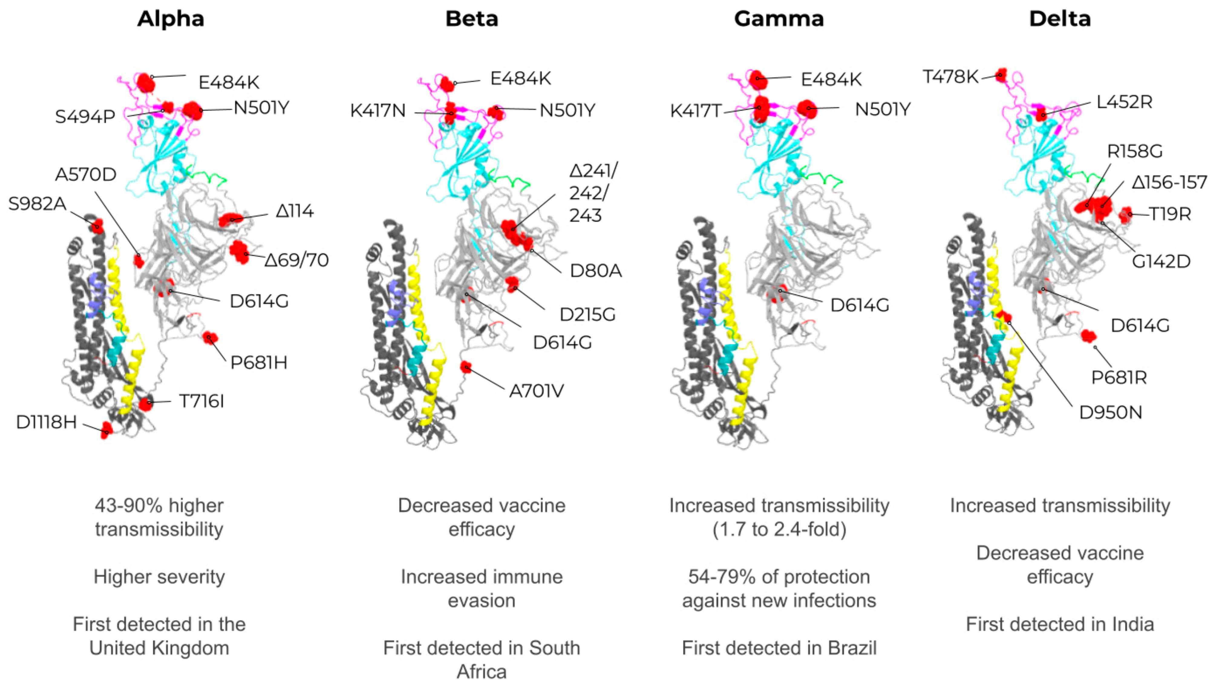 Vaccines 09 01409 g004
