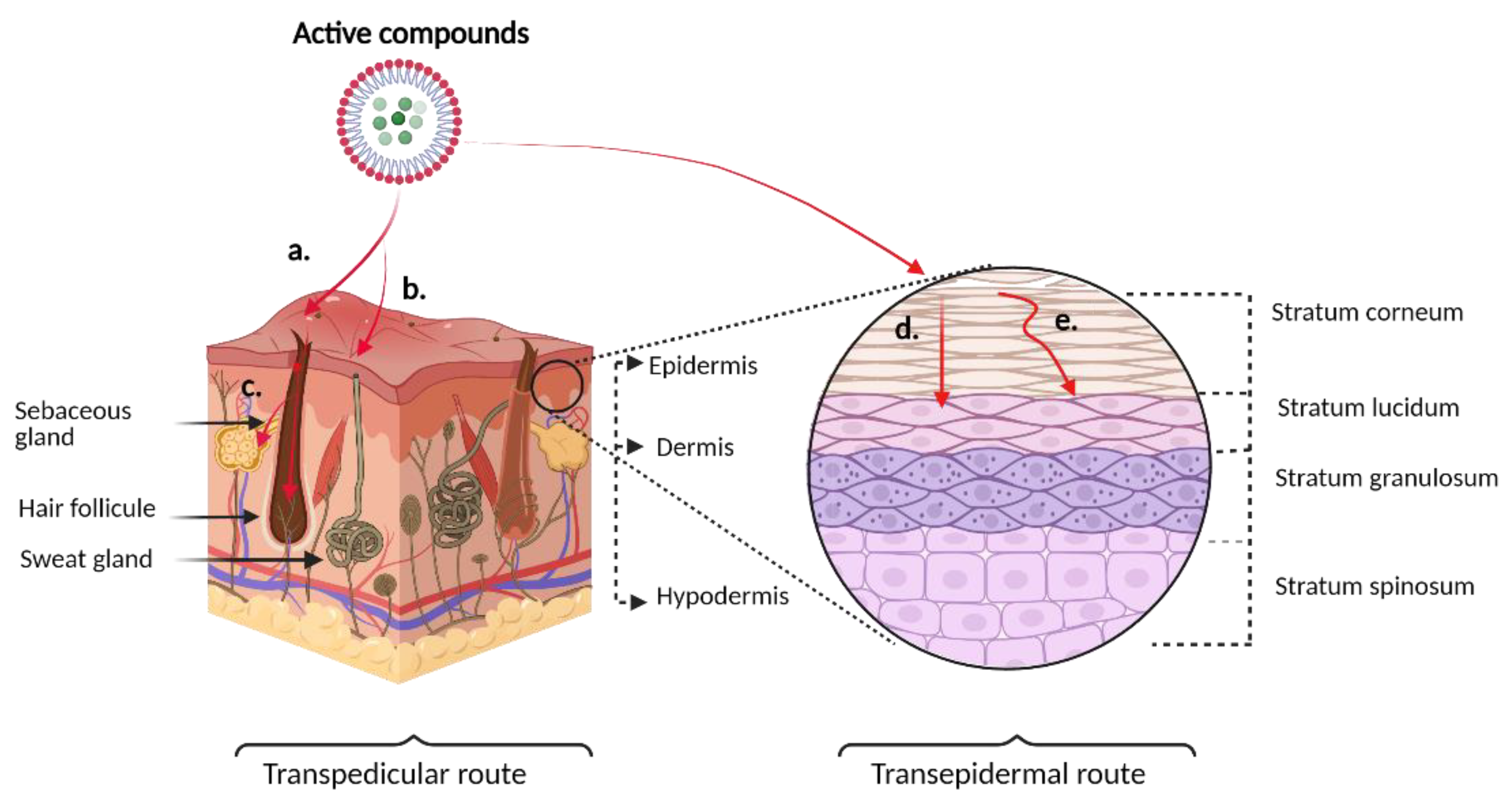Vaccines 09 01420 g001