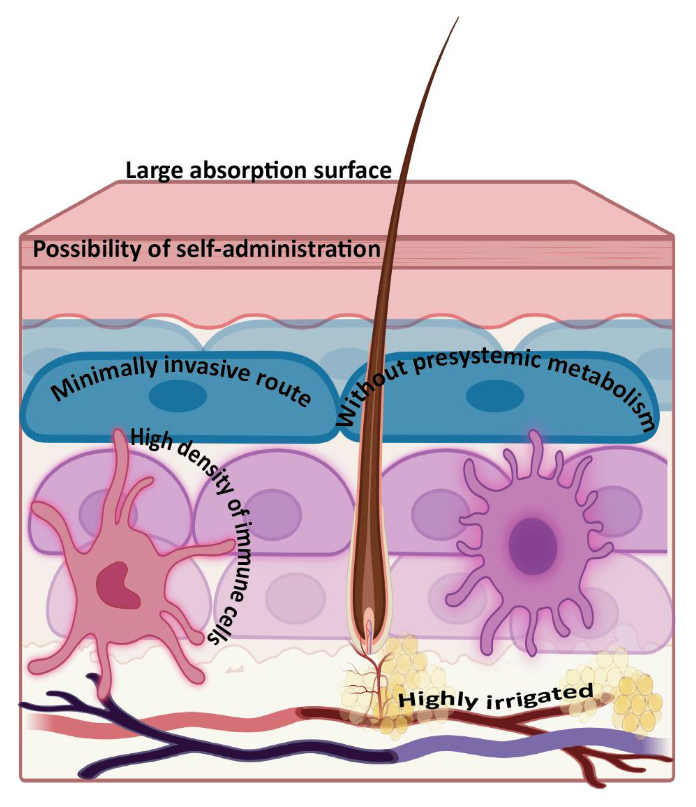 Vaccines 09 01420 g002