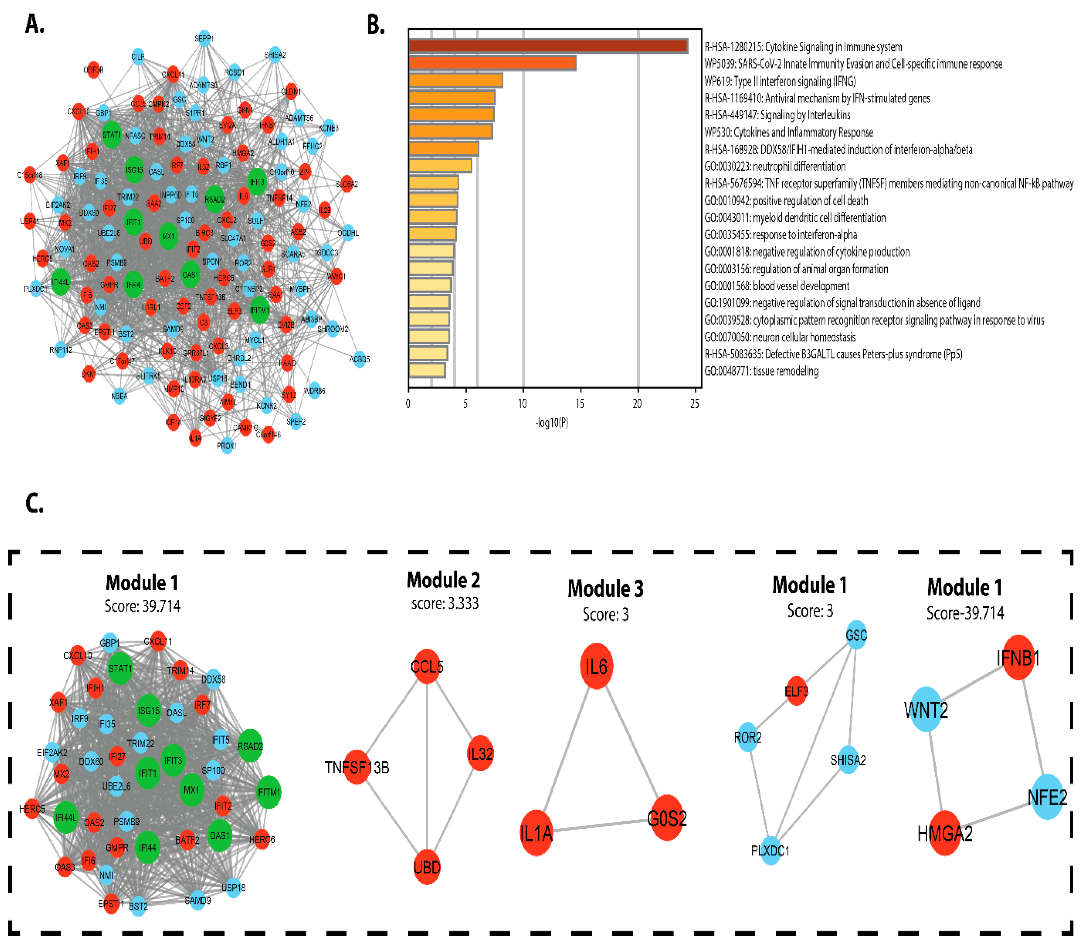 Vaccines 09 01427 g005