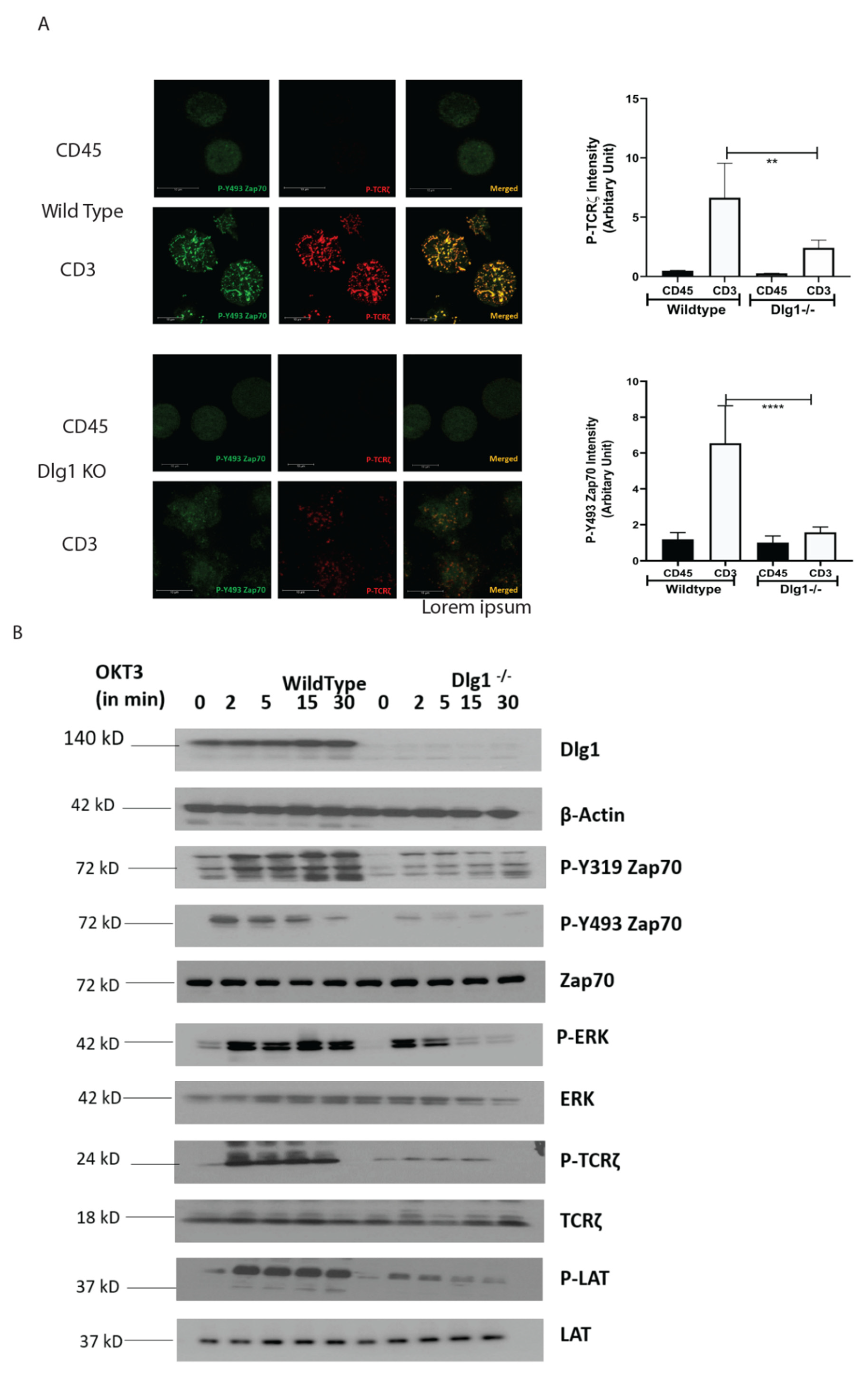 Vaccines 09 01446 g002