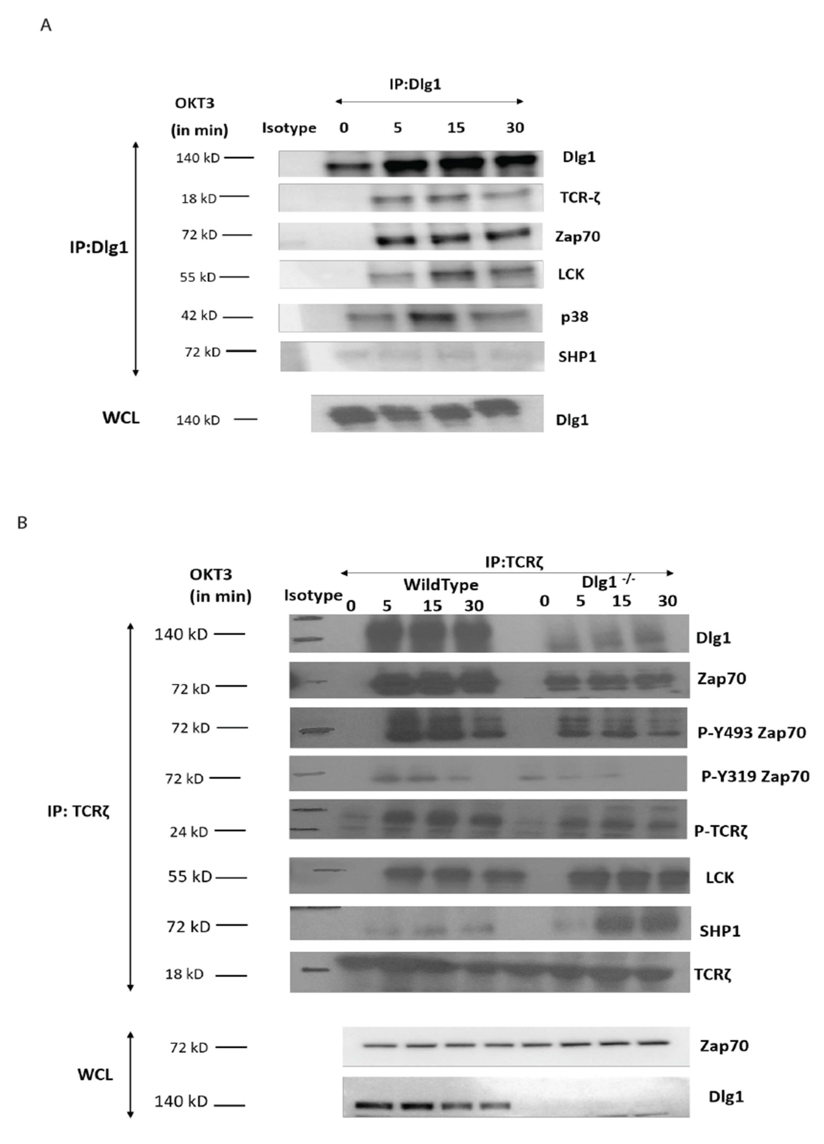 Vaccines 09 01446 g003