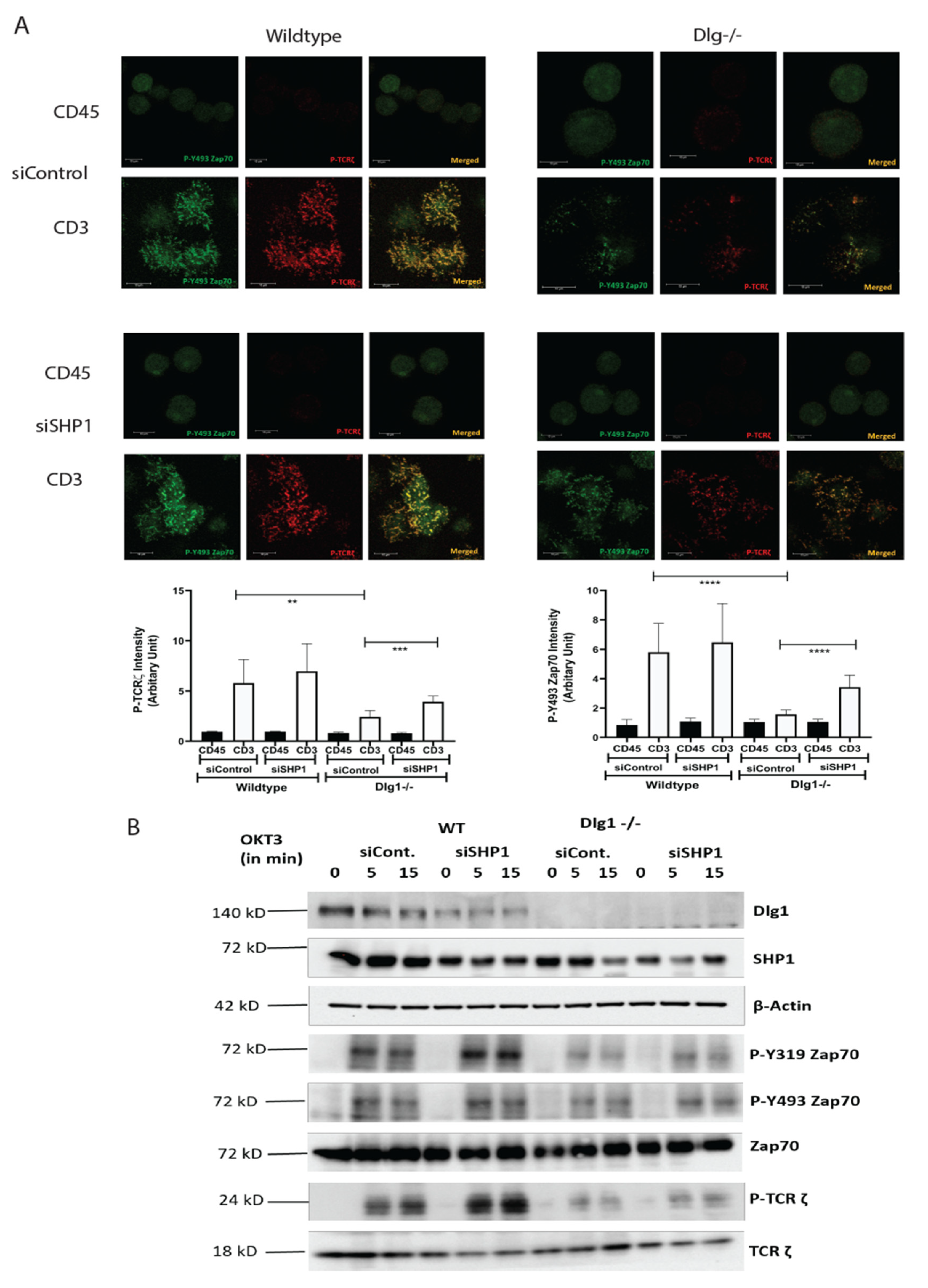 Vaccines 09 01446 g004