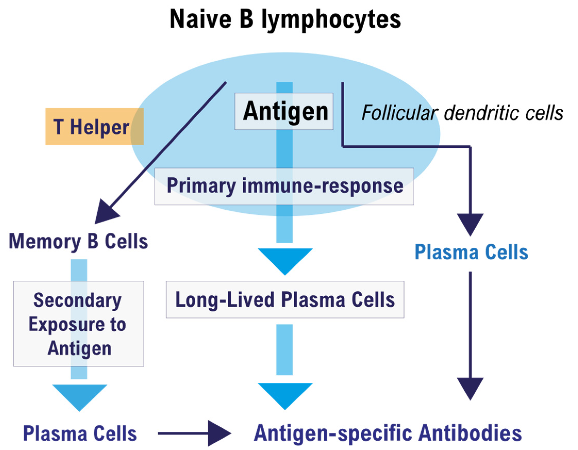 Vaccines 09 01503 g001
