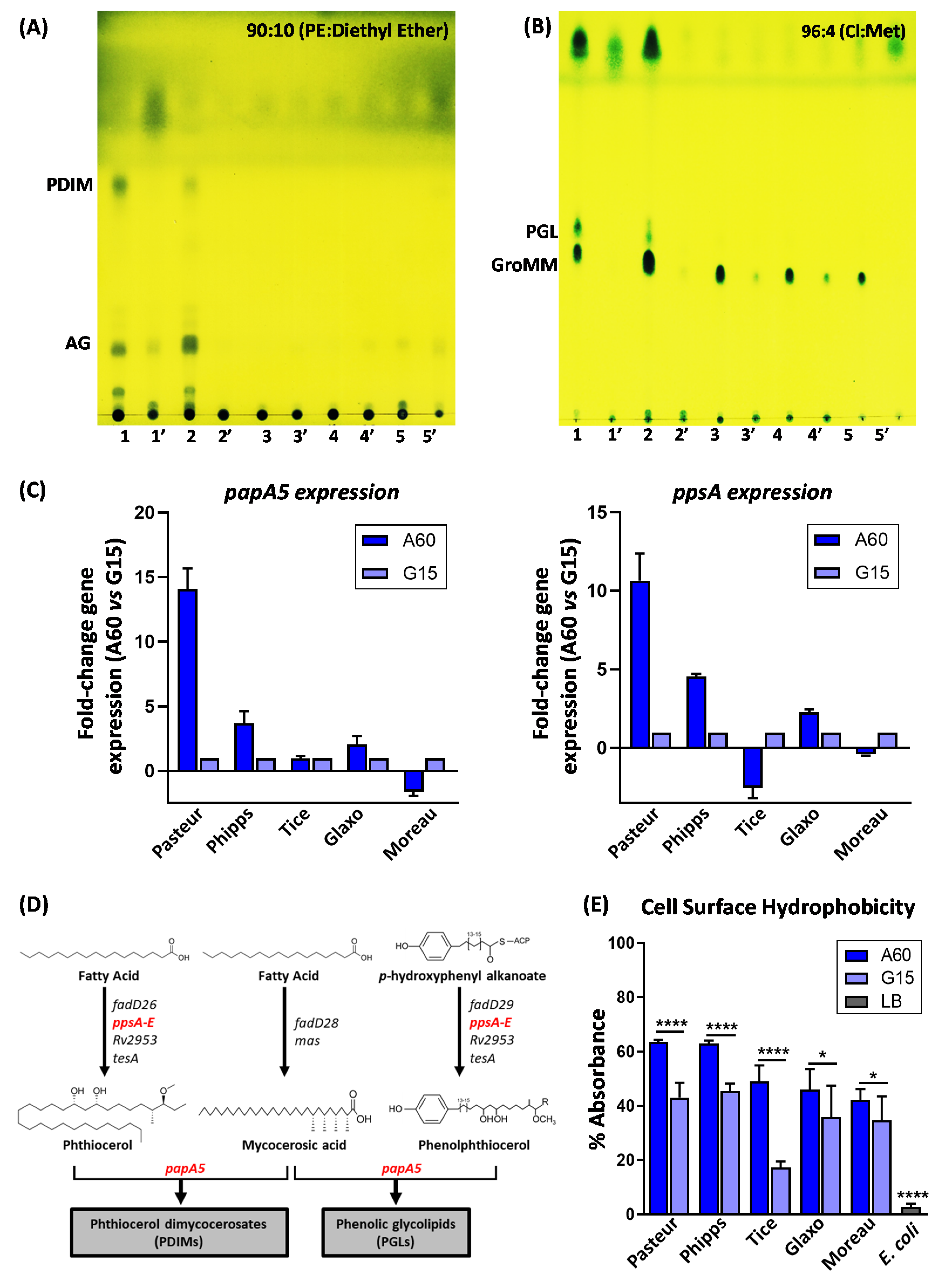 Vaccines 10 00040 g001