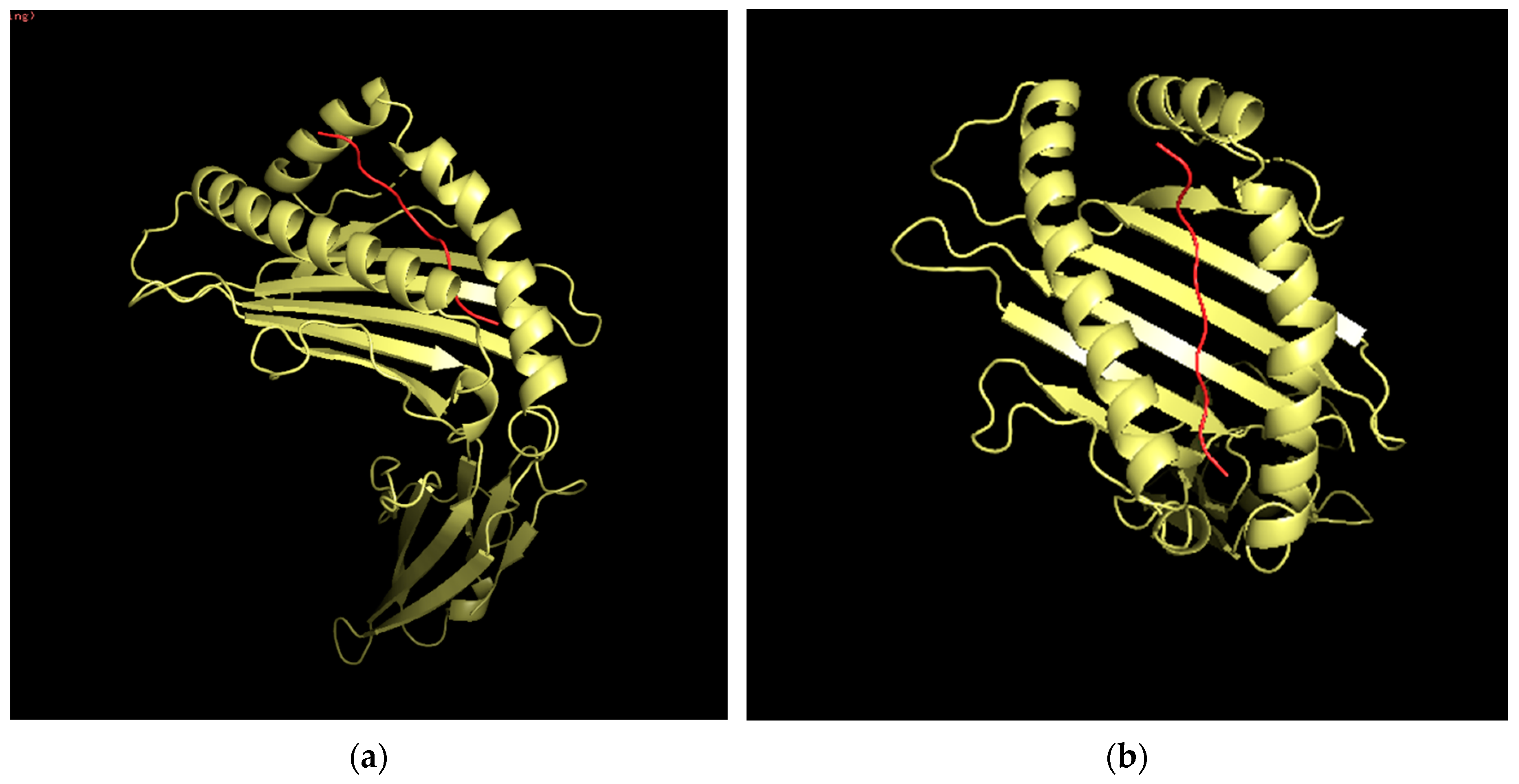 Vaccines 10 00063 g008