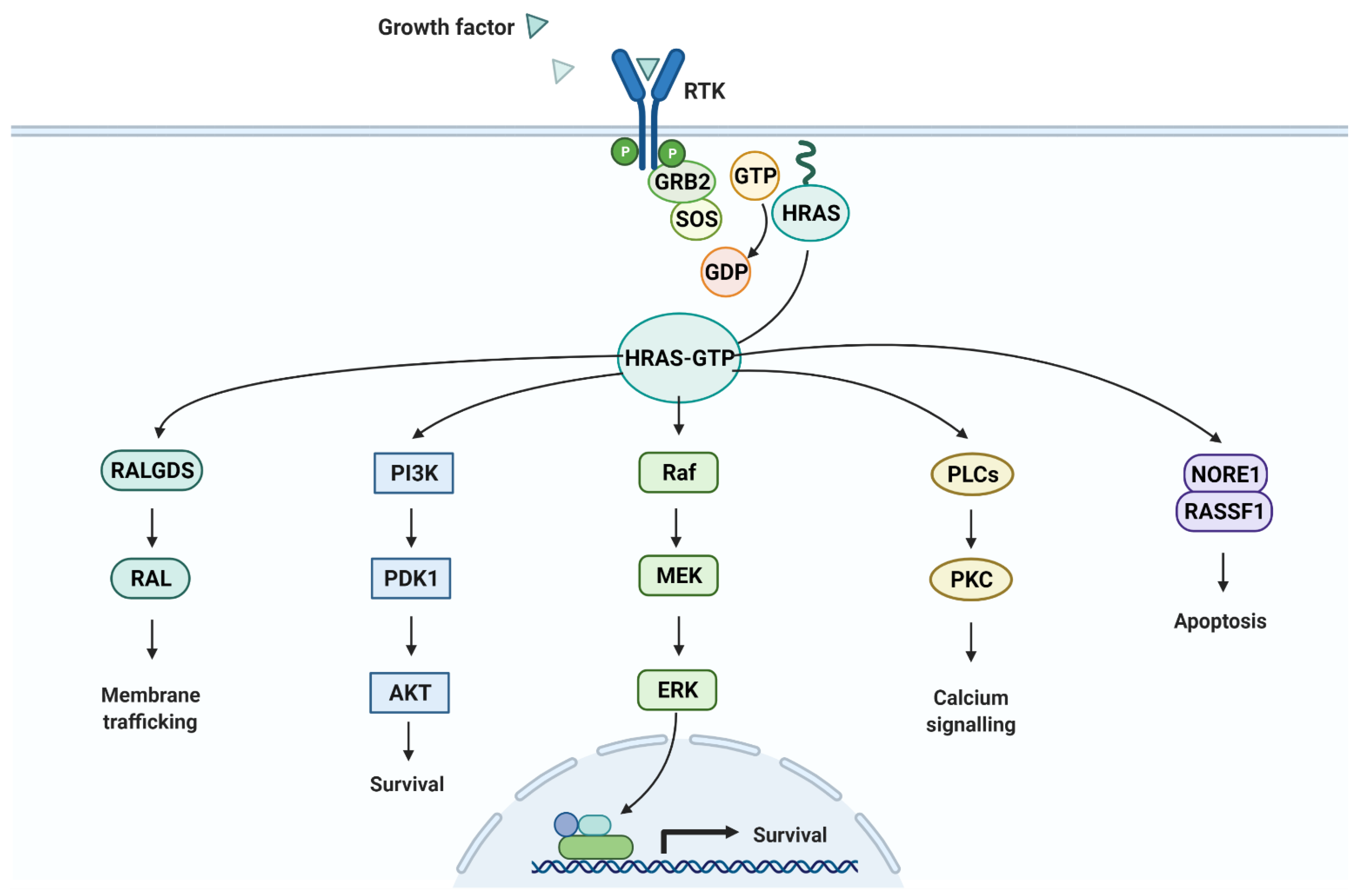 Vaccines 10 00063 g010