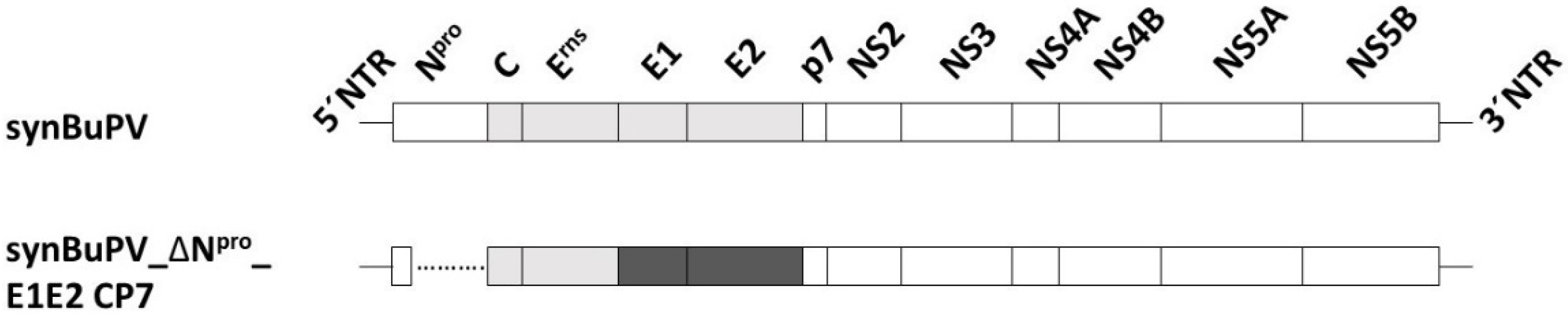 Vaccines 10 00088 g001 Vaccines 10 00088 g001