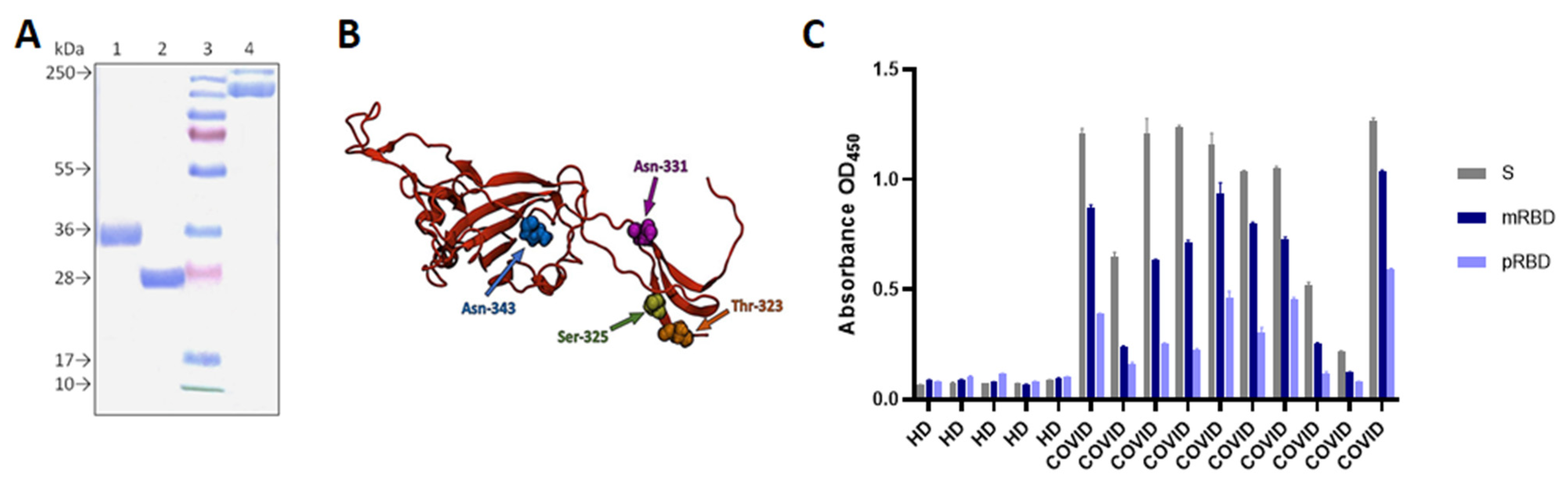 Vaccines 10 00096 g001