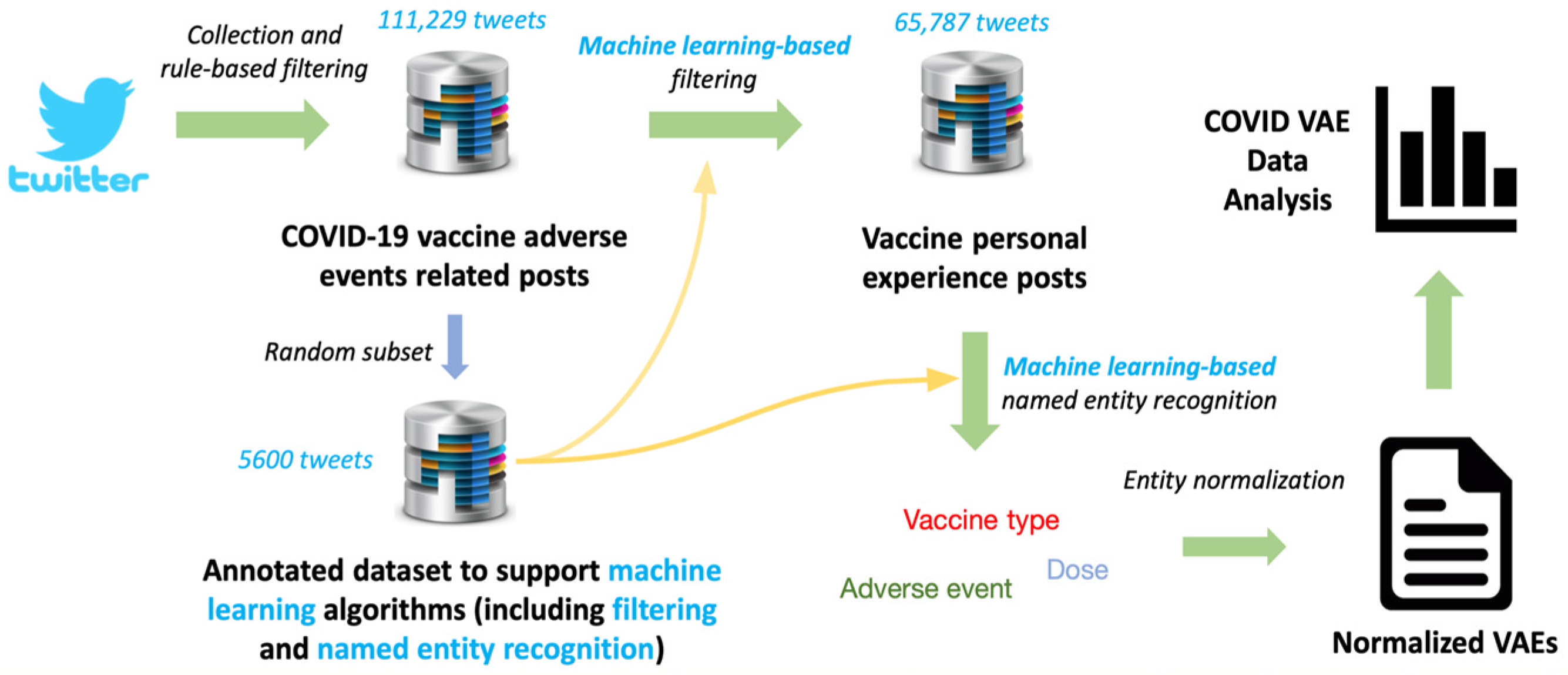 Vaccines 10 00103 g001